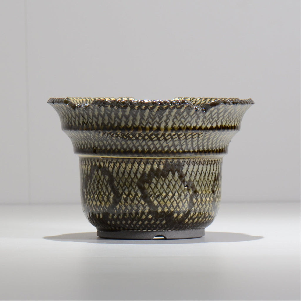 仲田唯希人 / SNAKE02 20/ 約φ17.7cm / 植木鉢