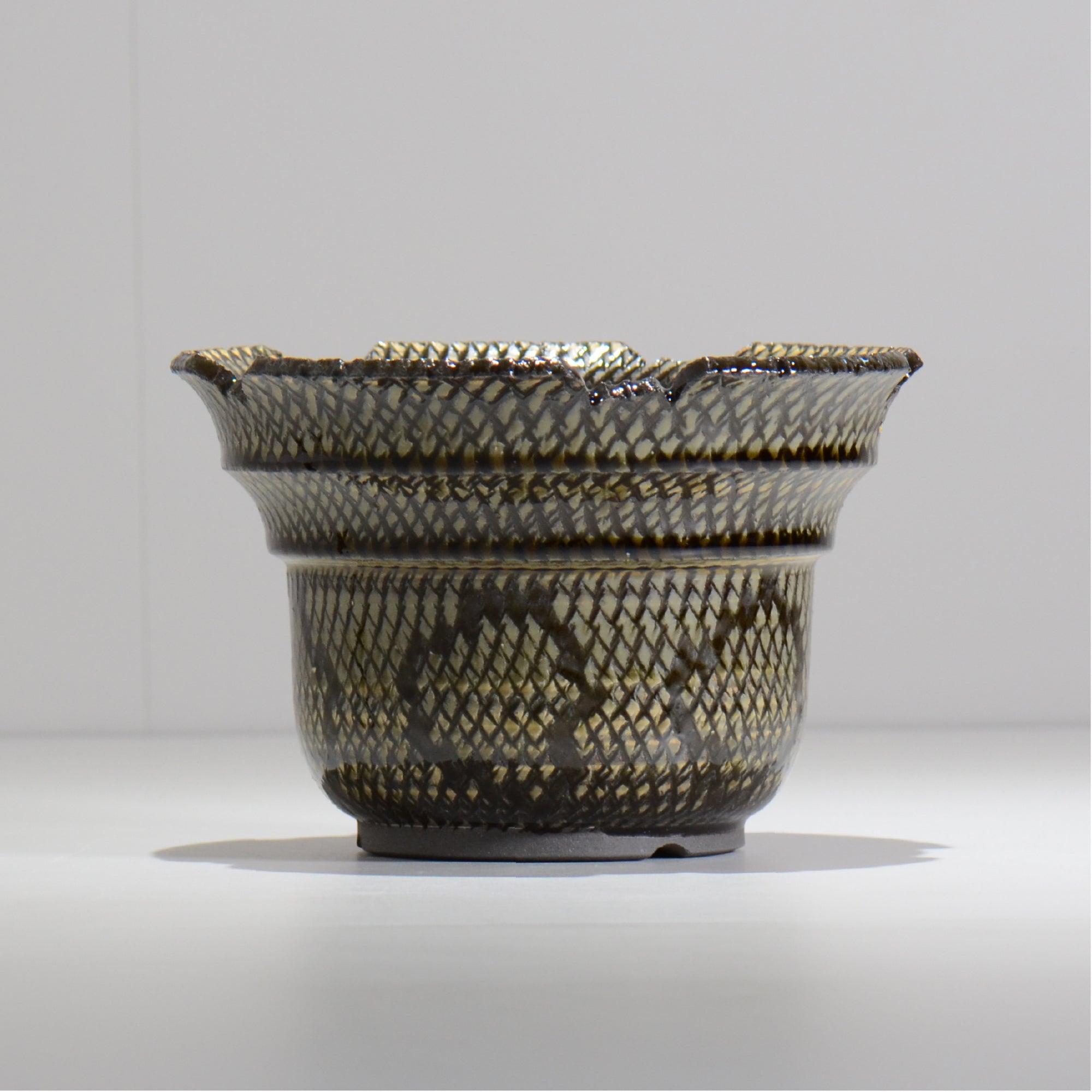 仲田唯希人 / SNAKE02 20/ 約φ17.7cm / 植木鉢