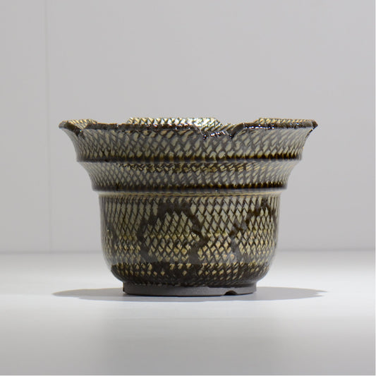 仲田唯希人 / SNAKE02 20/ 約φ17.7cm / 植木鉢