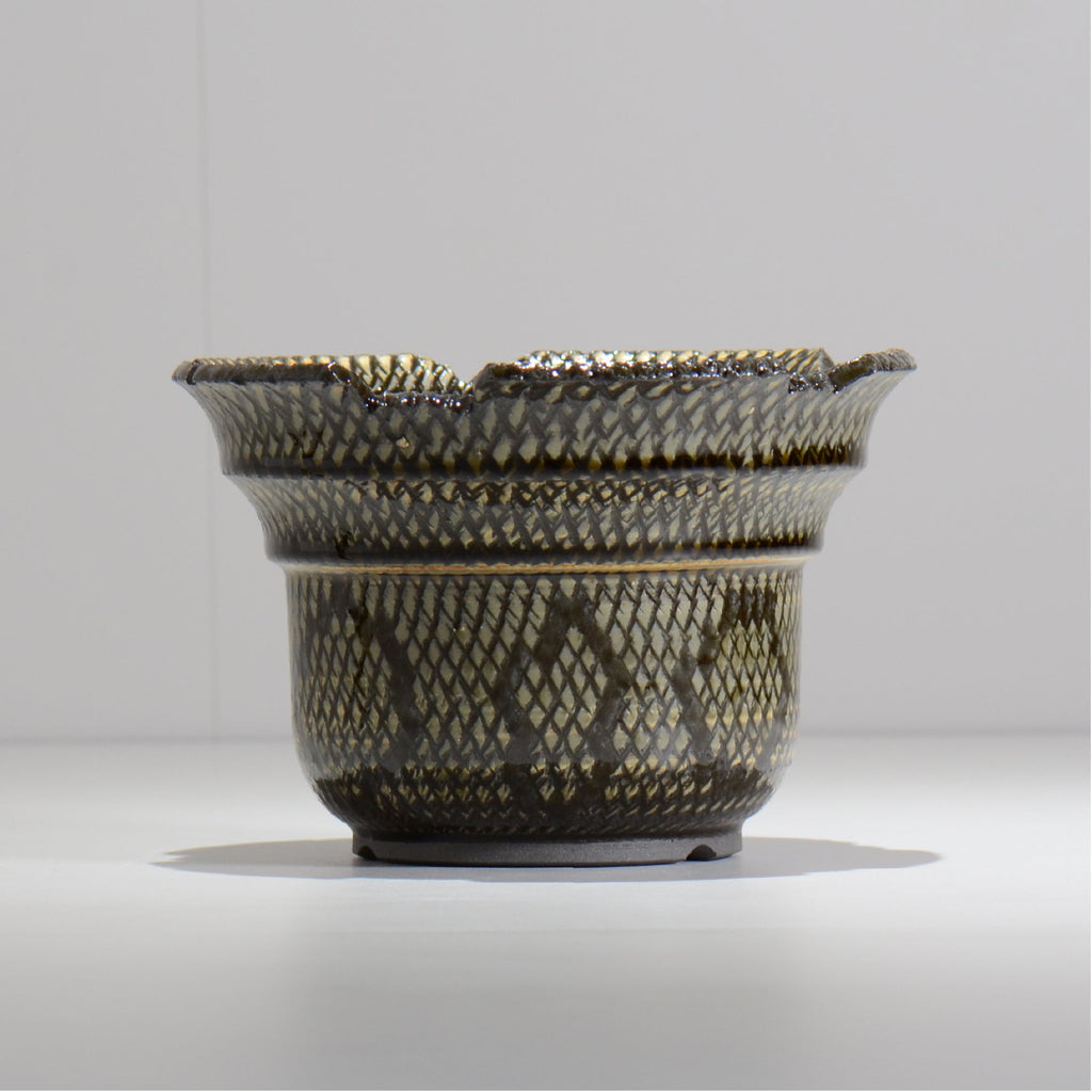 仲田唯希人 / SNAKE02 20/ 約φ17.7cm / 植木鉢