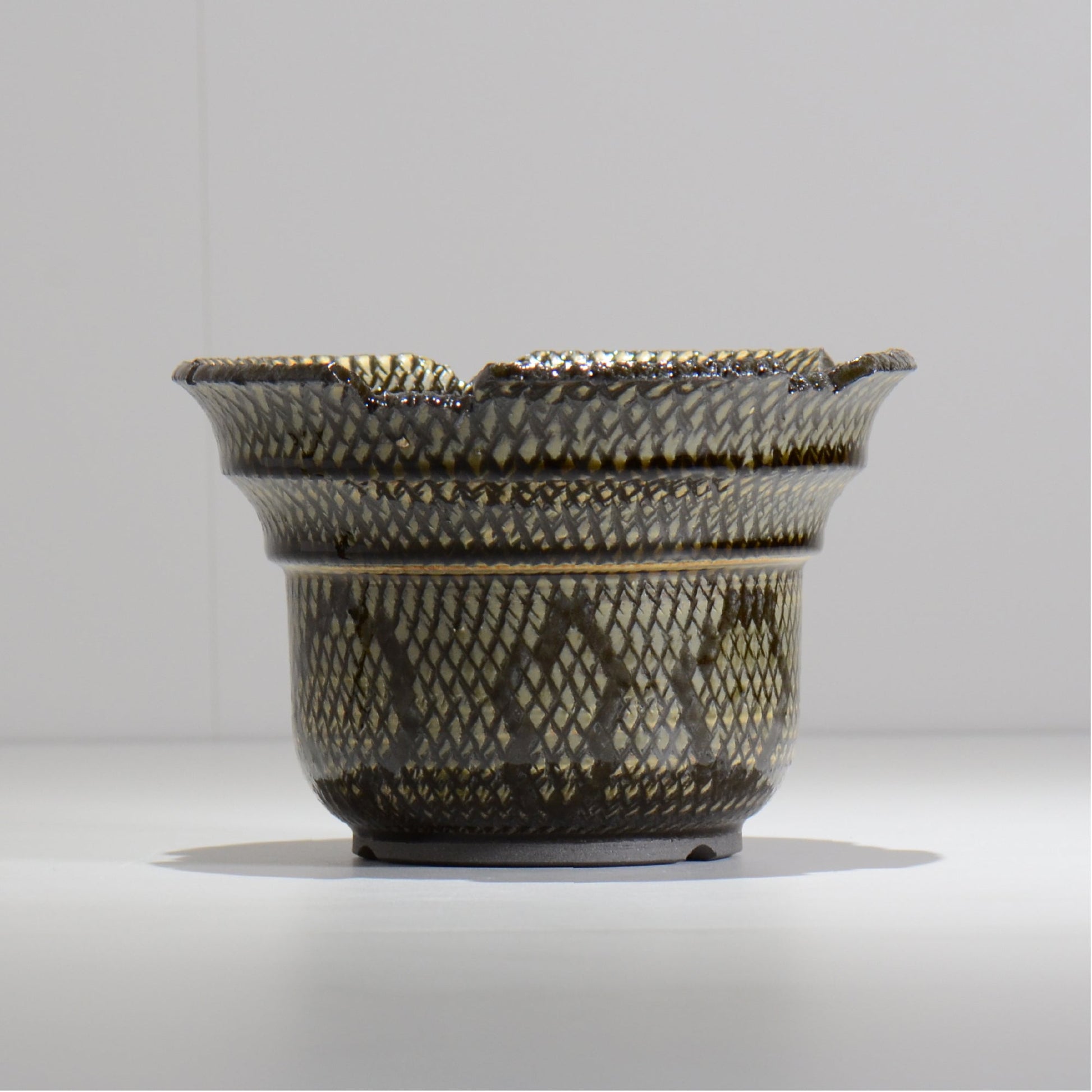 仲田唯希人 / SNAKE02 20/ 約φ17.7cm / 植木鉢