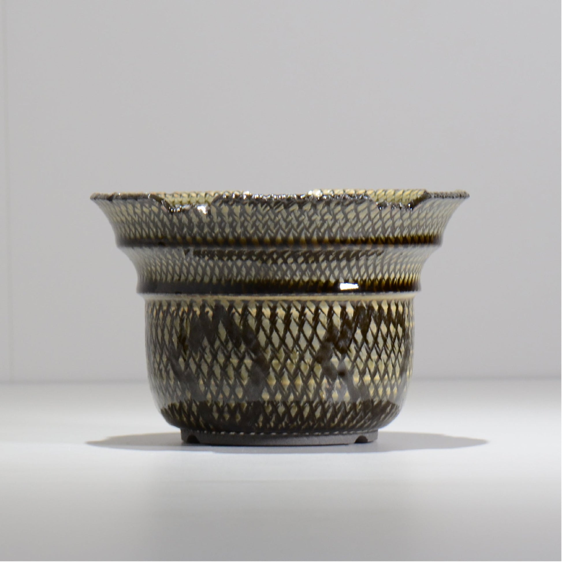 仲田唯希人 / SNAKE02 21/ 約φ17.3cm / 植木鉢