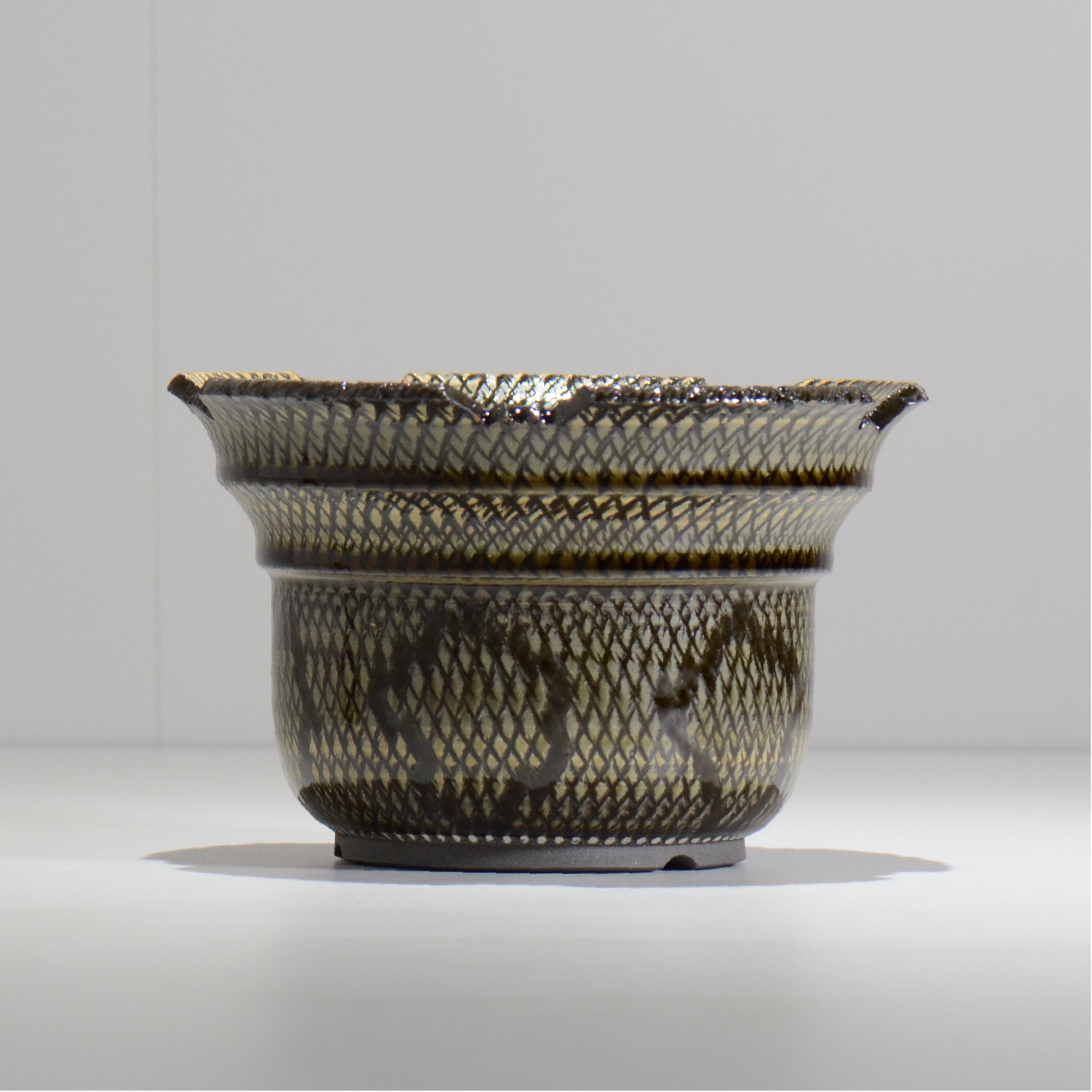 仲田唯希人 / SNAKE02 23/ 約φ18cm / 植木鉢