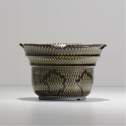 仲田唯希人 / SNAKE02 23/ 約φ18cm / 植木鉢