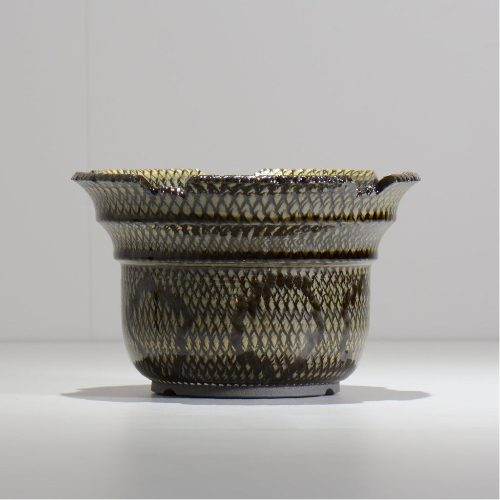 仲田唯希人 / SNAKE02 23/ 約φ18cm / 植木鉢