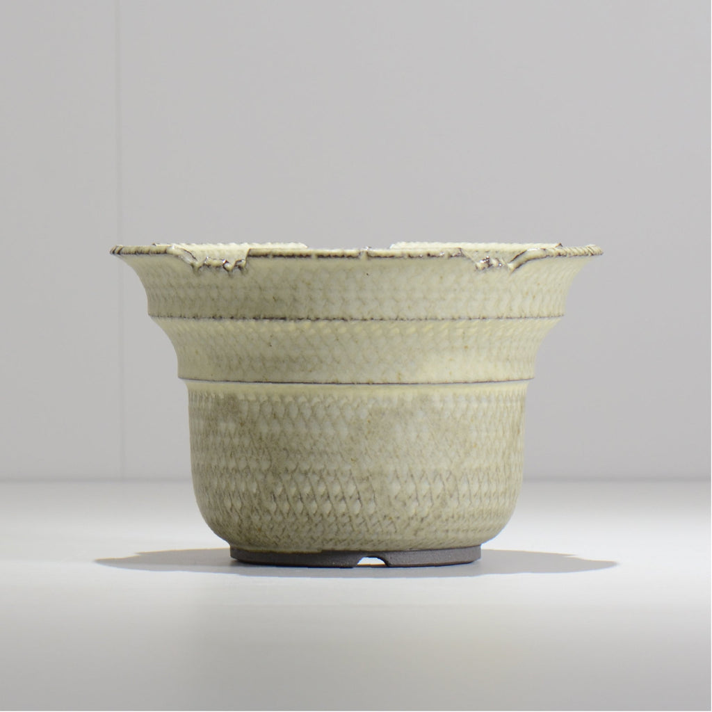 仲田唯希人 / SNAKE02 24/ 約φ17.6cm / 植木鉢