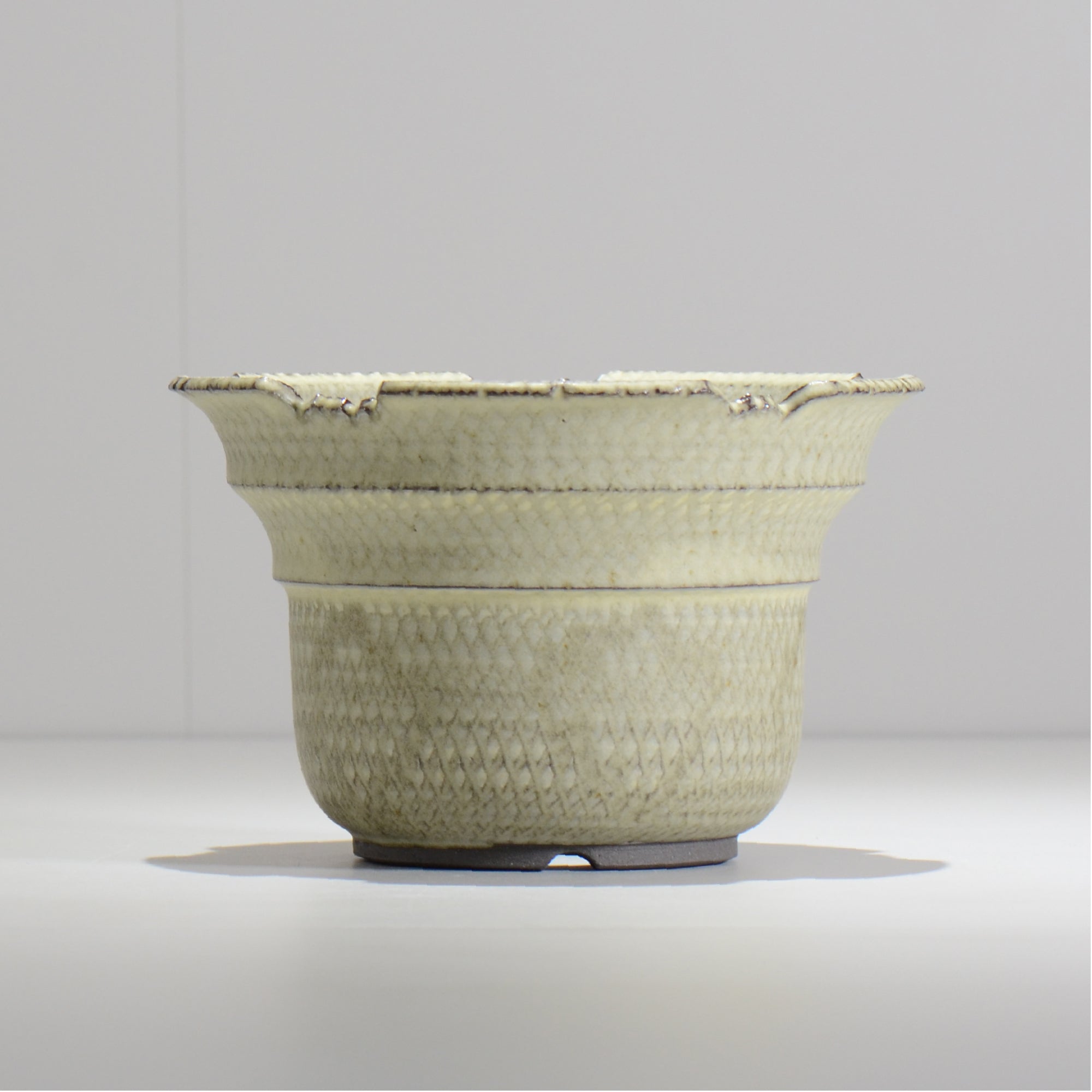 仲田唯希人 / SNAKE02 24/ 約φ17.6cm / 植木鉢