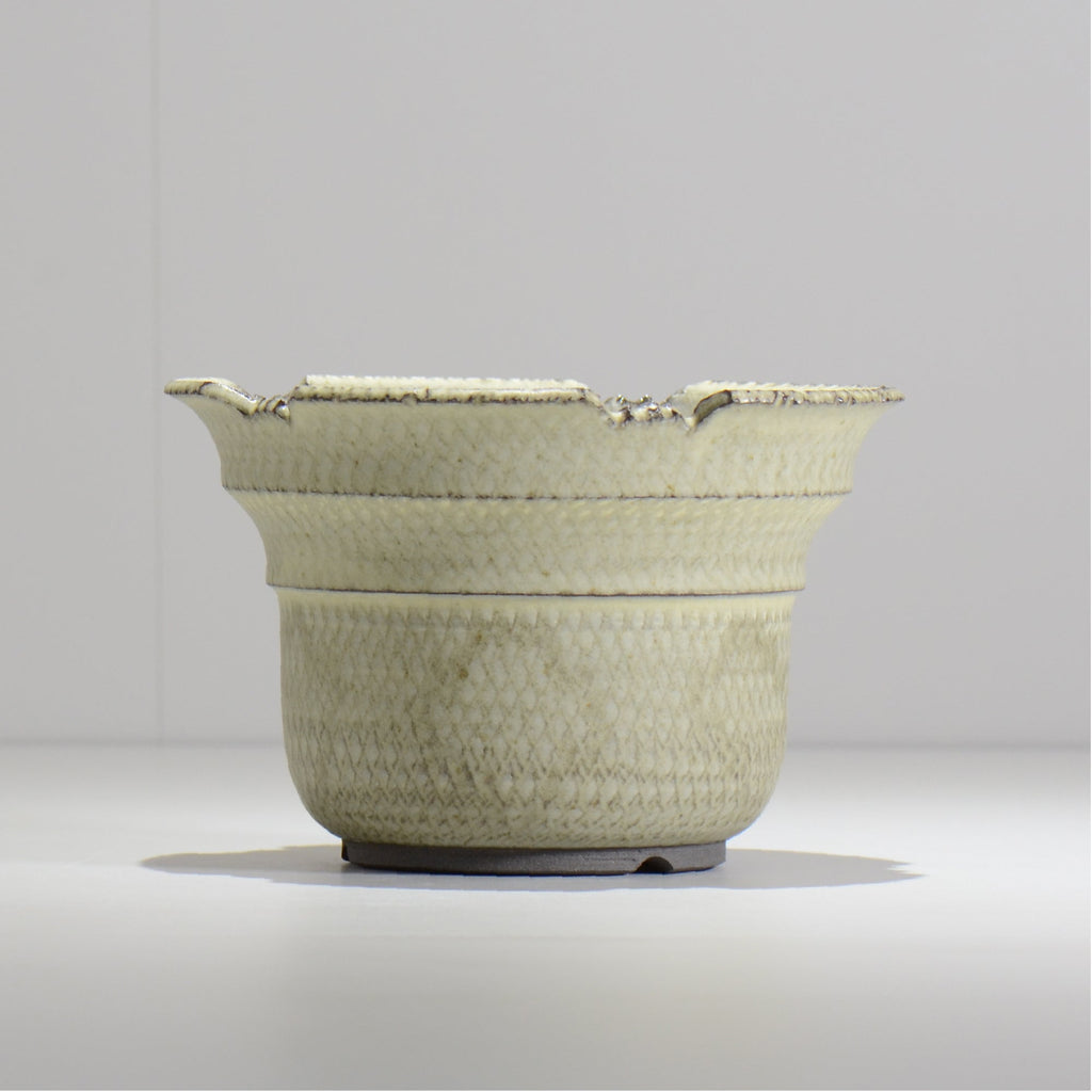 仲田唯希人 / SNAKE02 24/ 約φ17.6cm / 植木鉢