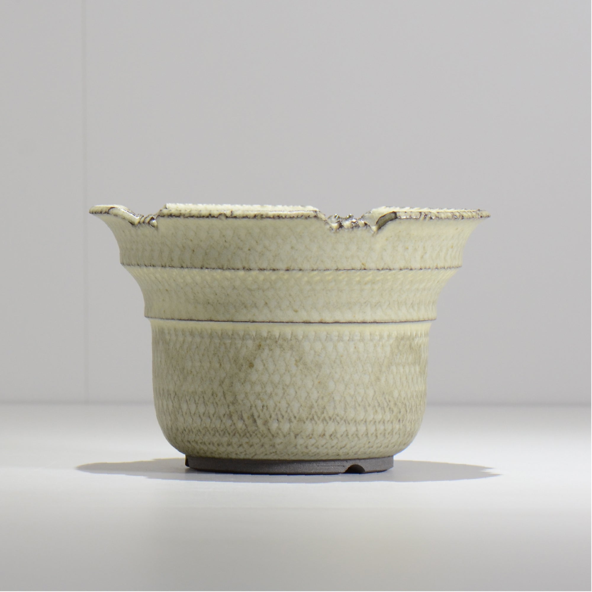 仲田唯希人 / SNAKE02 24/ 約φ17.6cm / 植木鉢