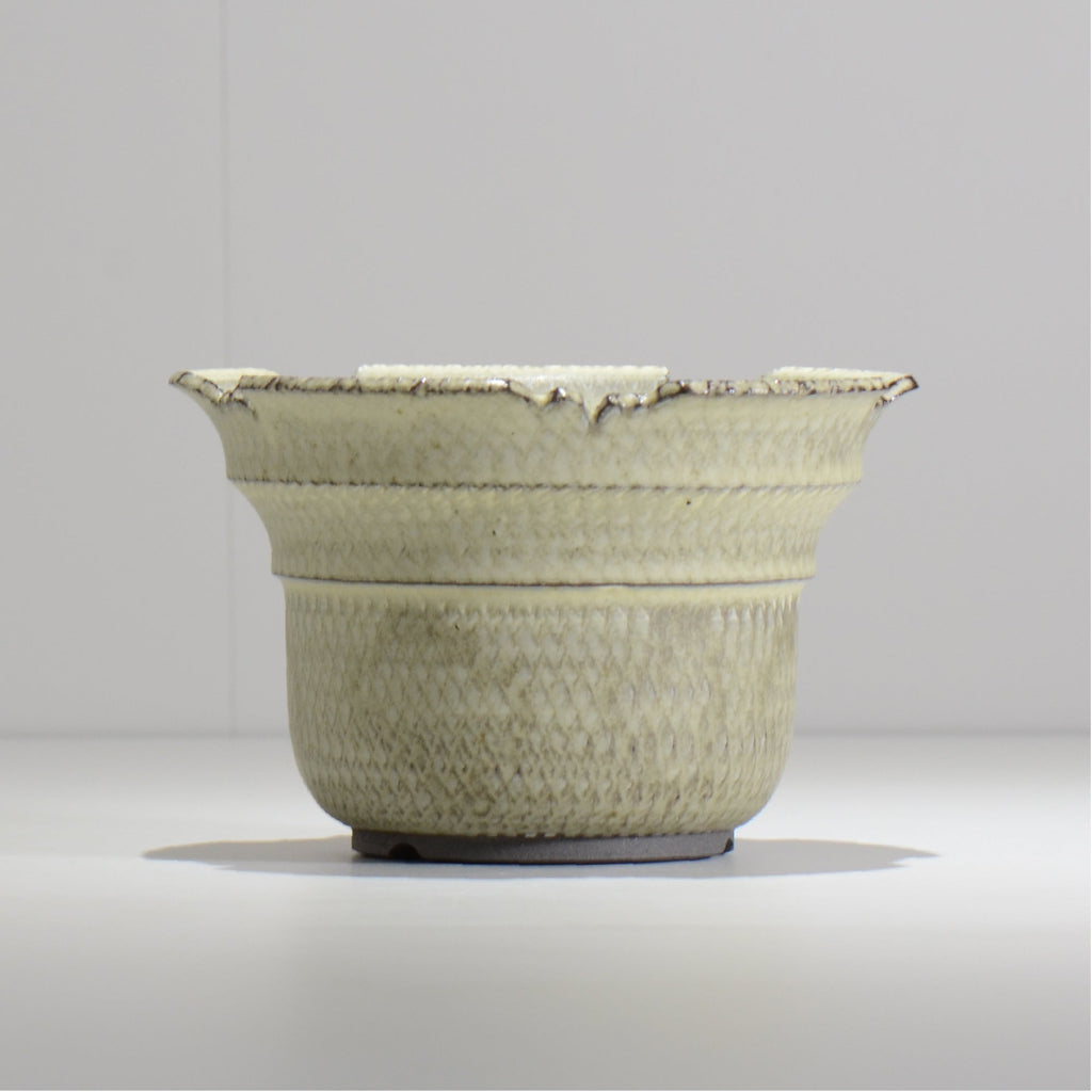 仲田唯希人 / SNAKE02 24/ 約φ17.6cm / 植木鉢