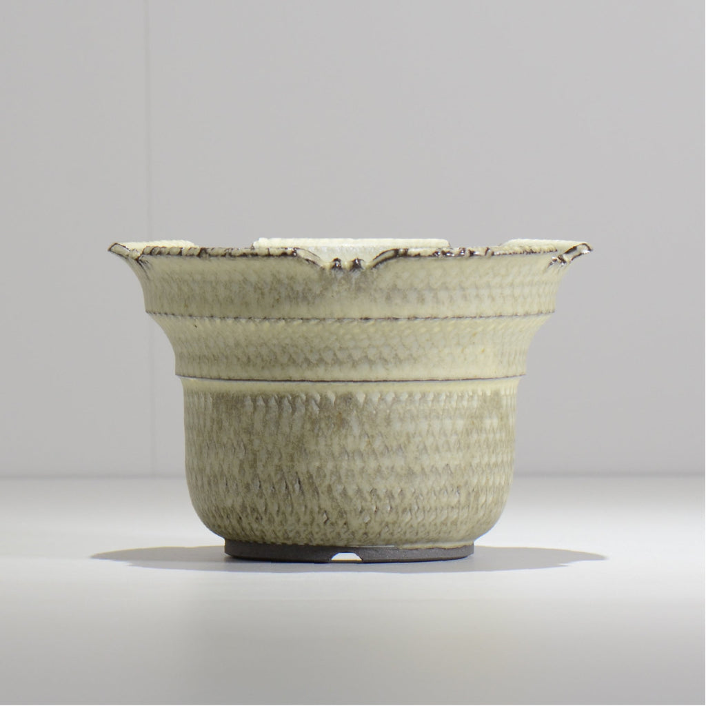 仲田唯希人 / SNAKE02 24/ 約φ17.6cm / 植木鉢