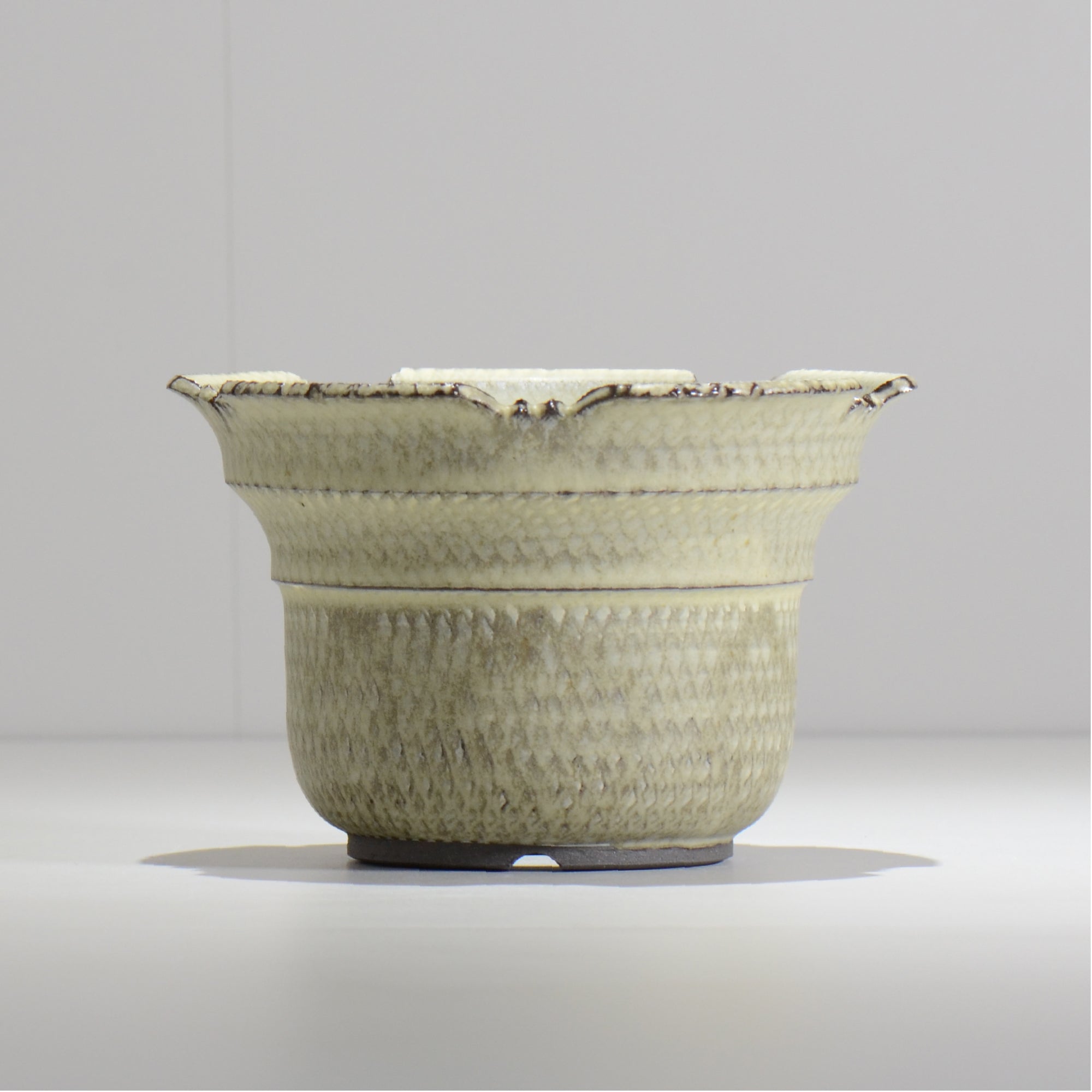 仲田唯希人 / SNAKE02 24/ 約φ17.6cm / 植木鉢