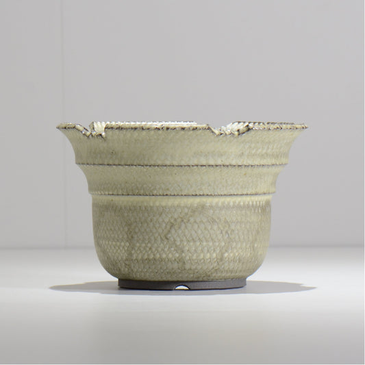 仲田唯希人 / SNAKE02 25/ 約φ17.9cm / 植木鉢