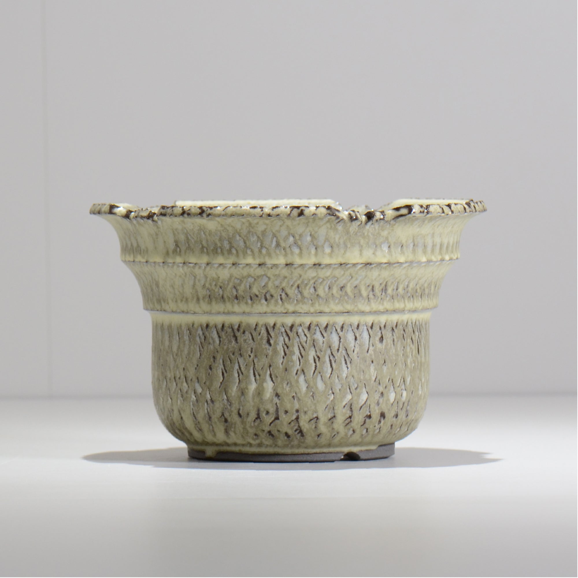 仲田唯希人 / SNAKE02 26/ 約φ18cm / 植木鉢