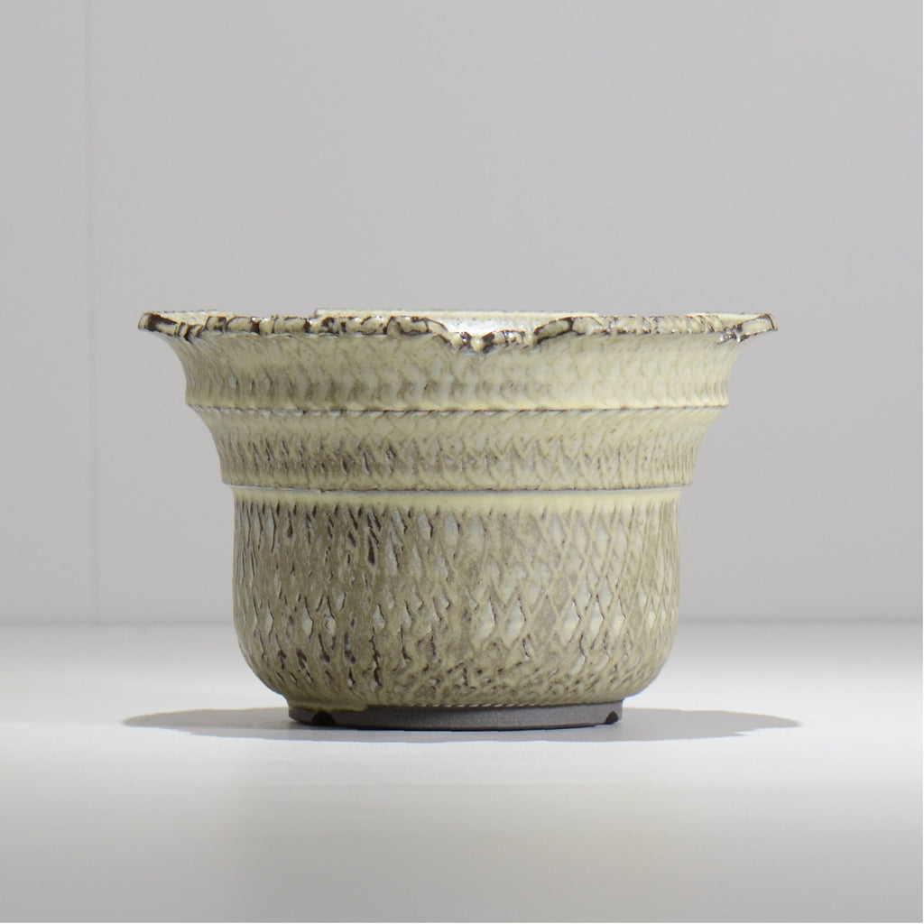 仲田唯希人 / SNAKE02 26/ 約φ18cm / 植木鉢