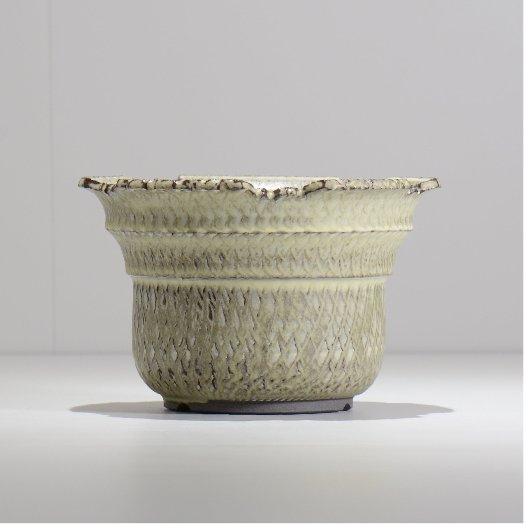 仲田唯希人 / SNAKE02 26/ 約φ18cm / 植木鉢
