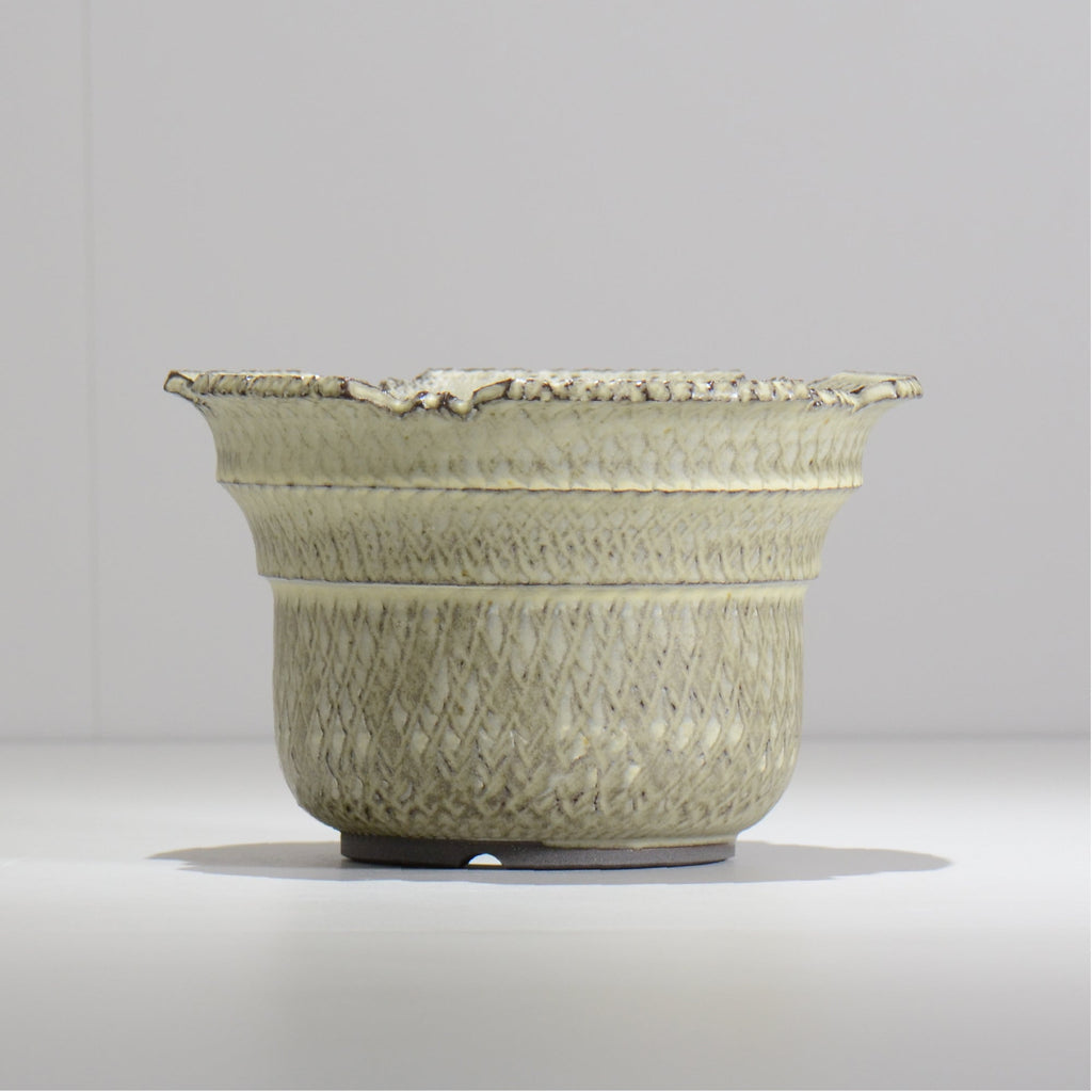 仲田唯希人 / SNAKE02 26/ 約φ18cm / 植木鉢