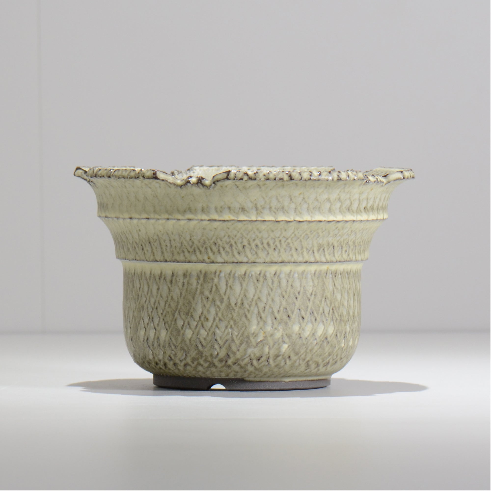 仲田唯希人 / SNAKE02 26/ 約φ18cm / 植木鉢