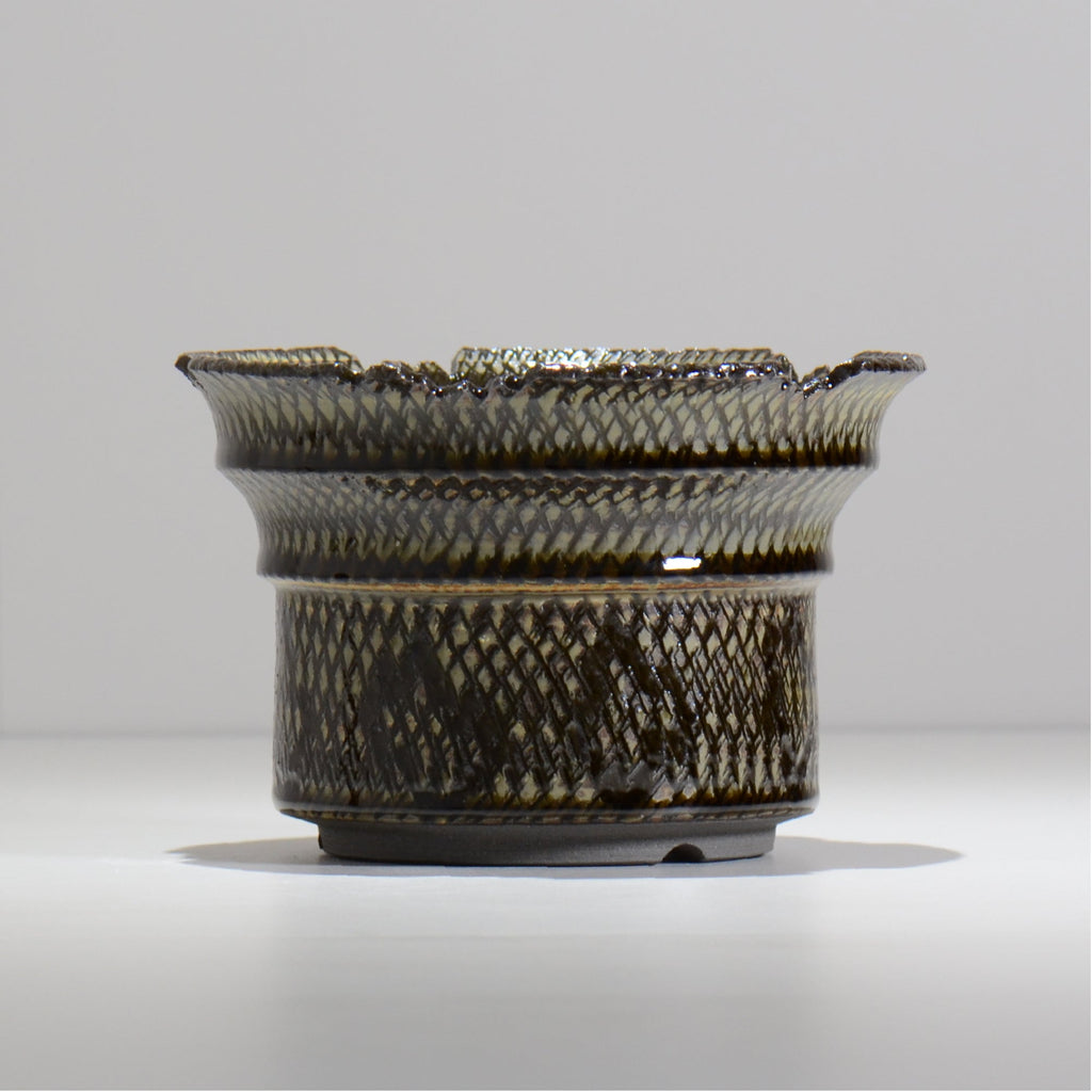 仲田唯希人 / SNAKE02 27/ 約φ17cm / 植木鉢