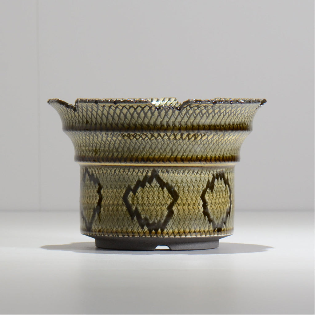 仲田唯希人 / SNAKE02 29/ 約φ17cm / 植木鉢