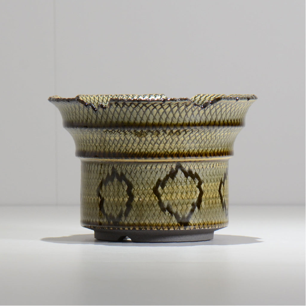 仲田唯希人 / SNAKE02 29/ 約φ17cm / 植木鉢