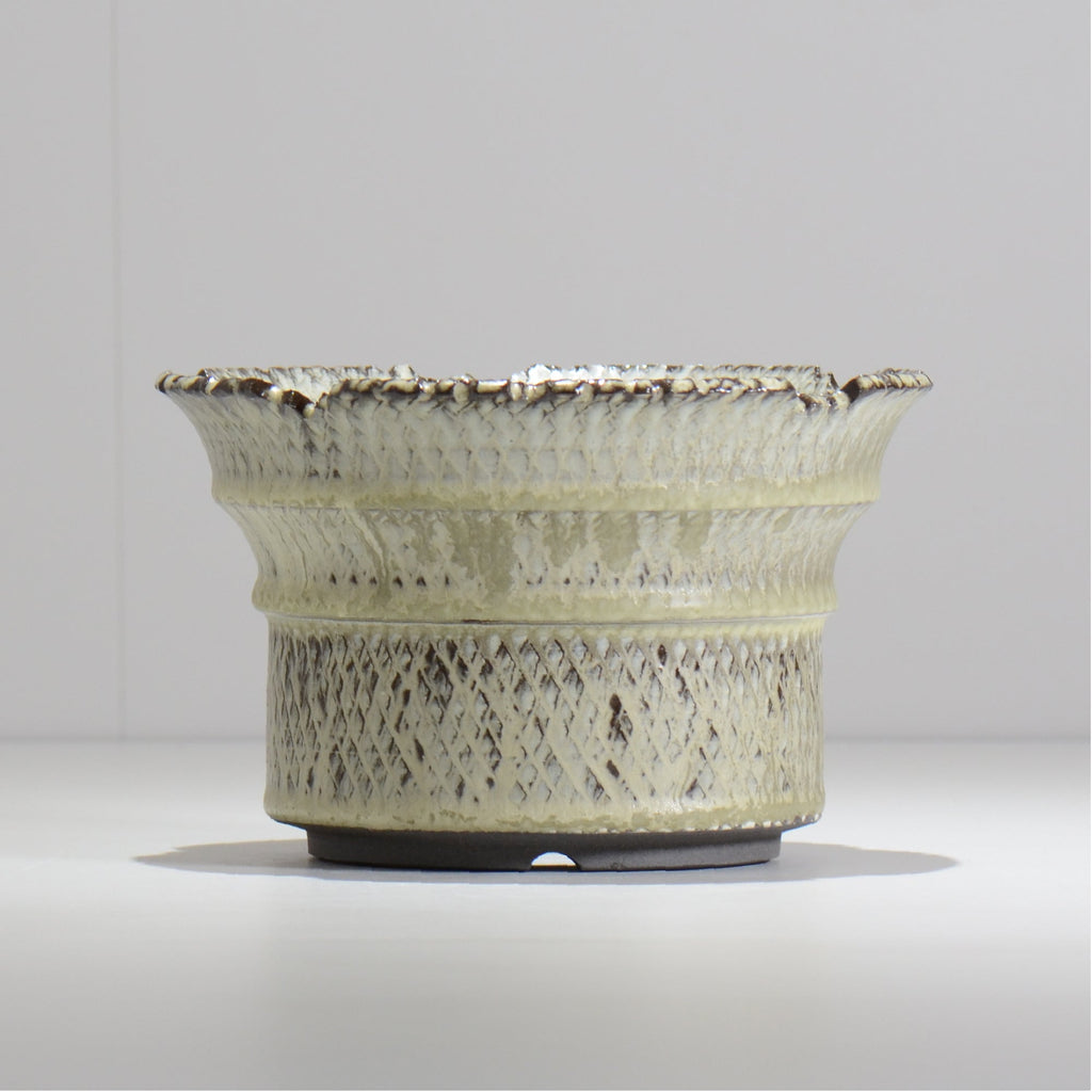 仲田唯希人 / SNAKE02 33/ 約φ18cm / 植木鉢