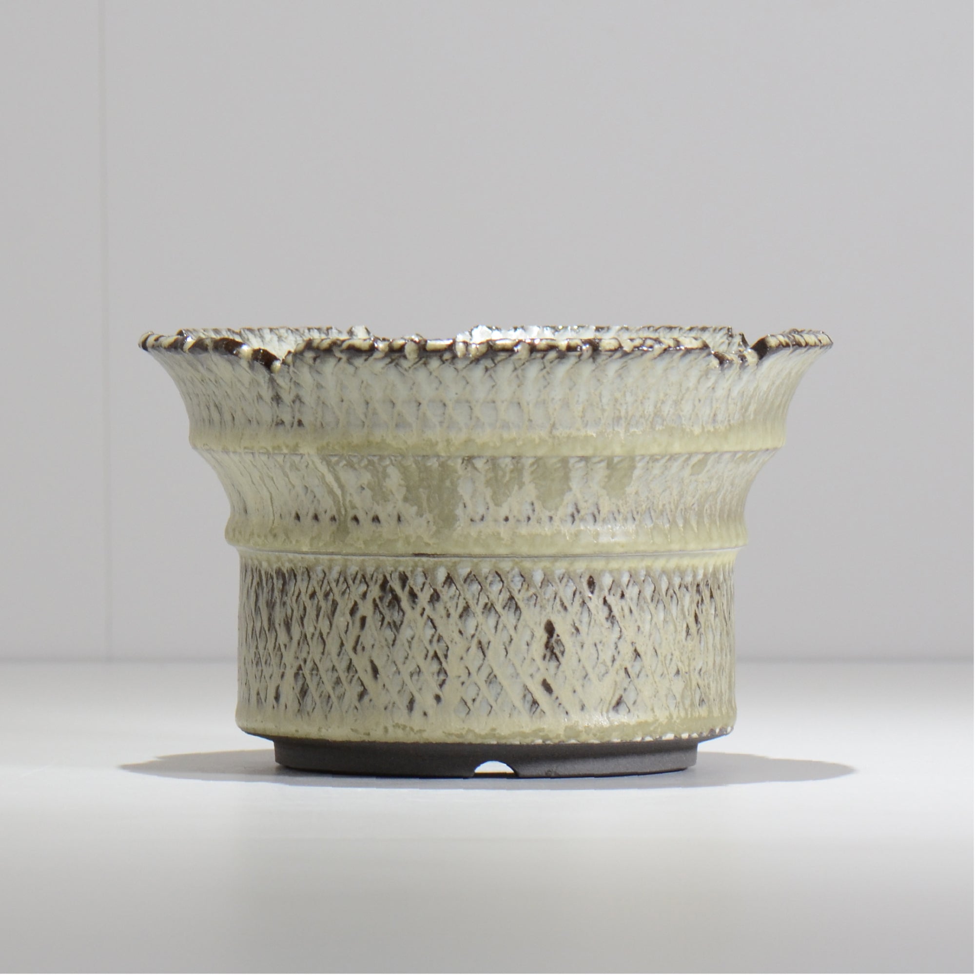 仲田唯希人 / SNAKE02 33/ 約φ18cm / 植木鉢