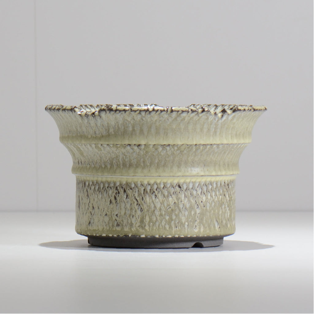 仲田唯希人 / SNAKE02 33/ 約φ18cm / 植木鉢