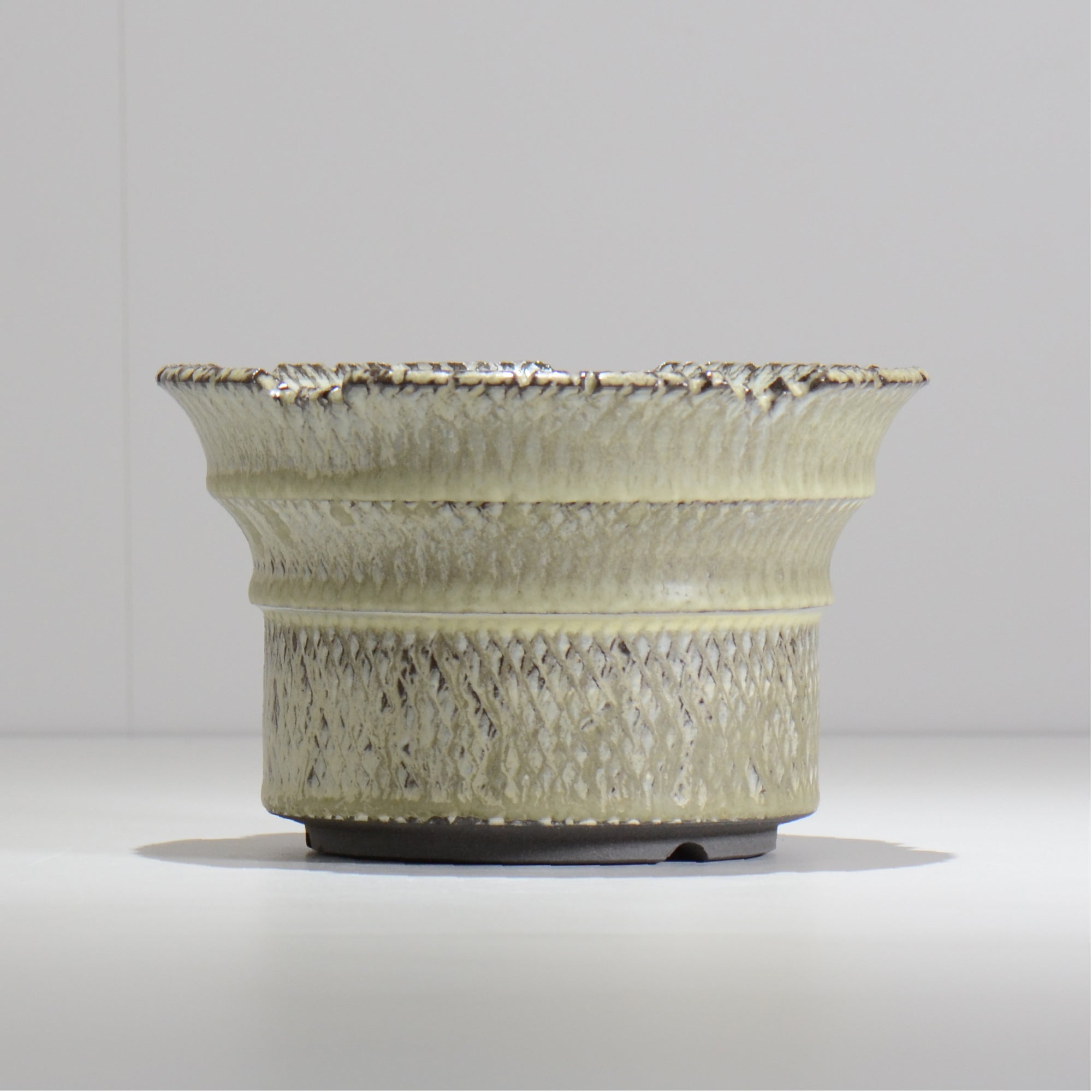 仲田唯希人 / SNAKE02 33/ 約φ18cm / 植木鉢