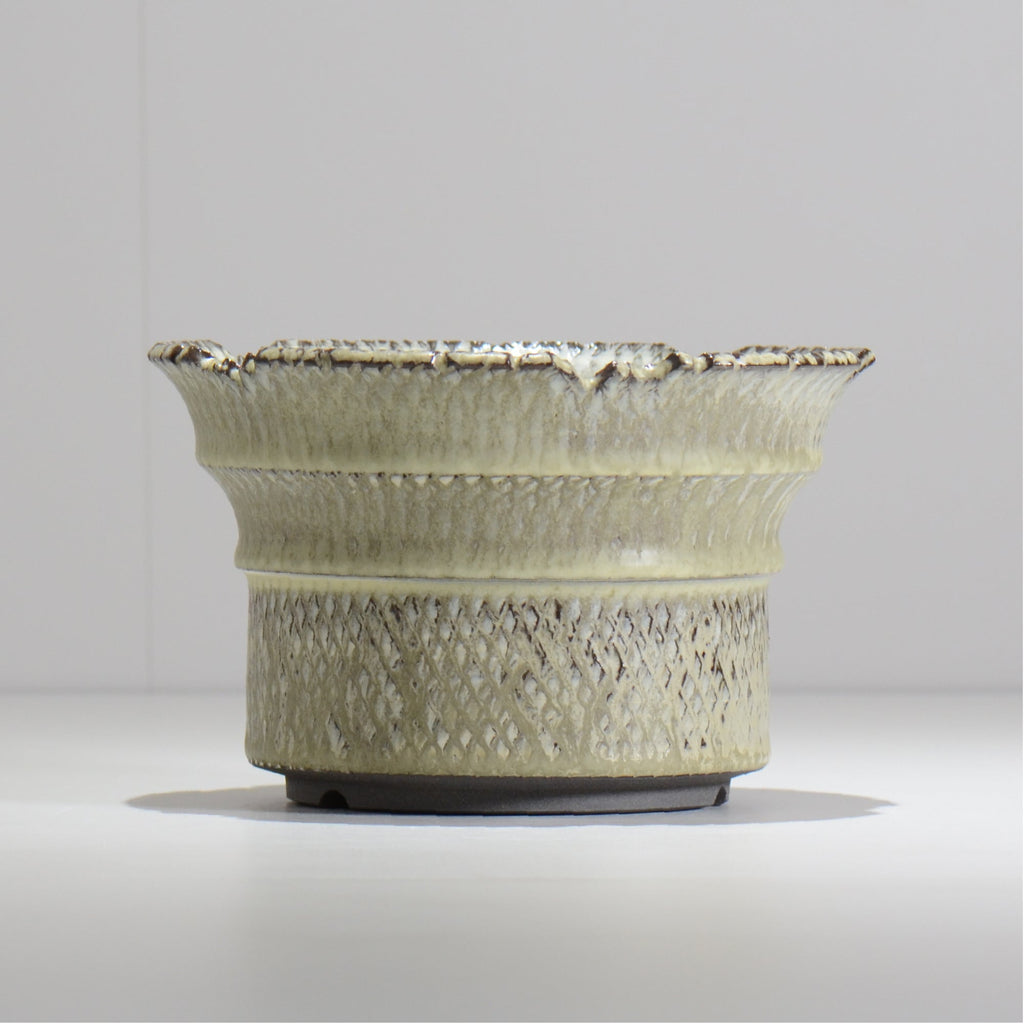 仲田唯希人 / SNAKE02 33/ 約φ18cm / 植木鉢