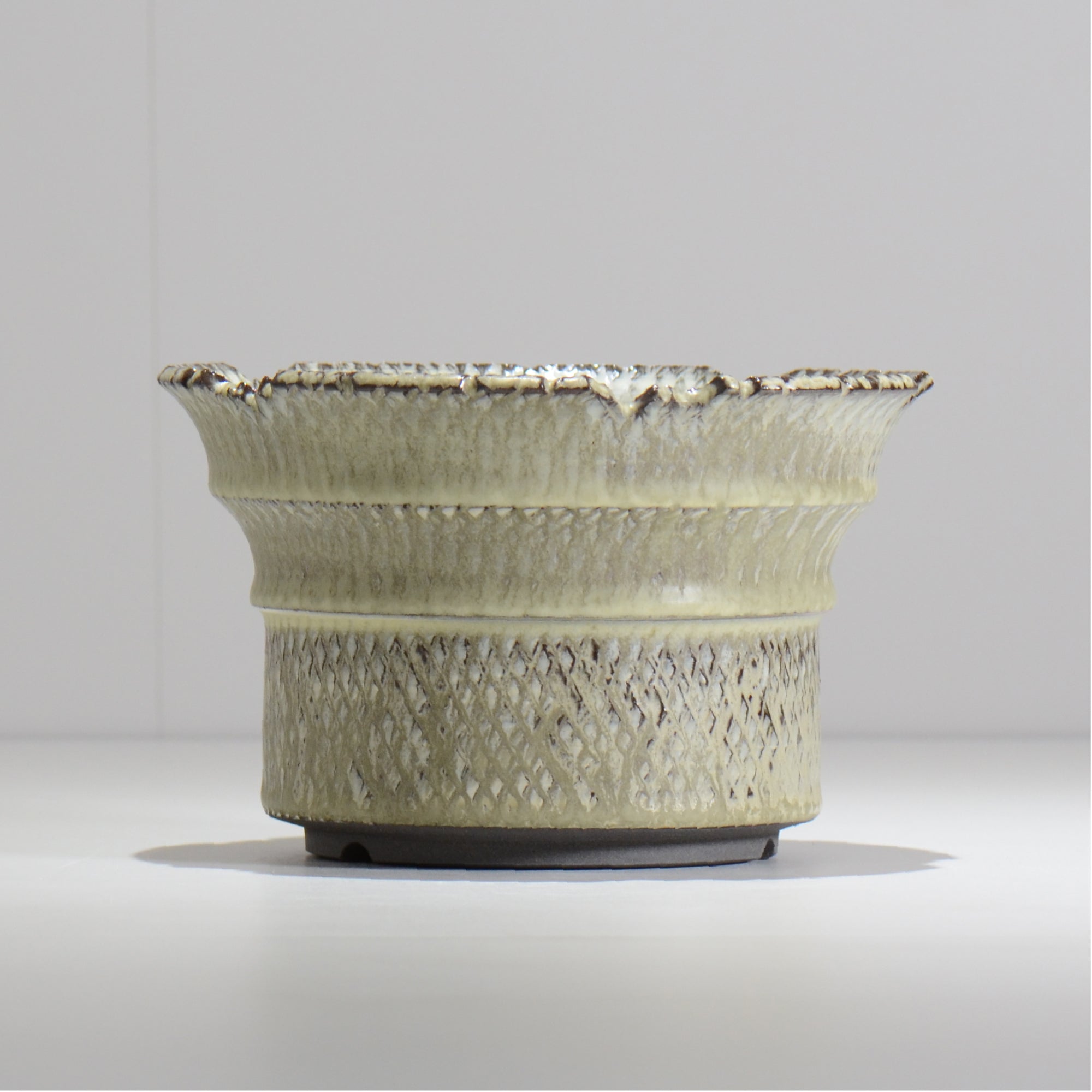 仲田唯希人 / SNAKE02 33/ 約φ18cm / 植木鉢