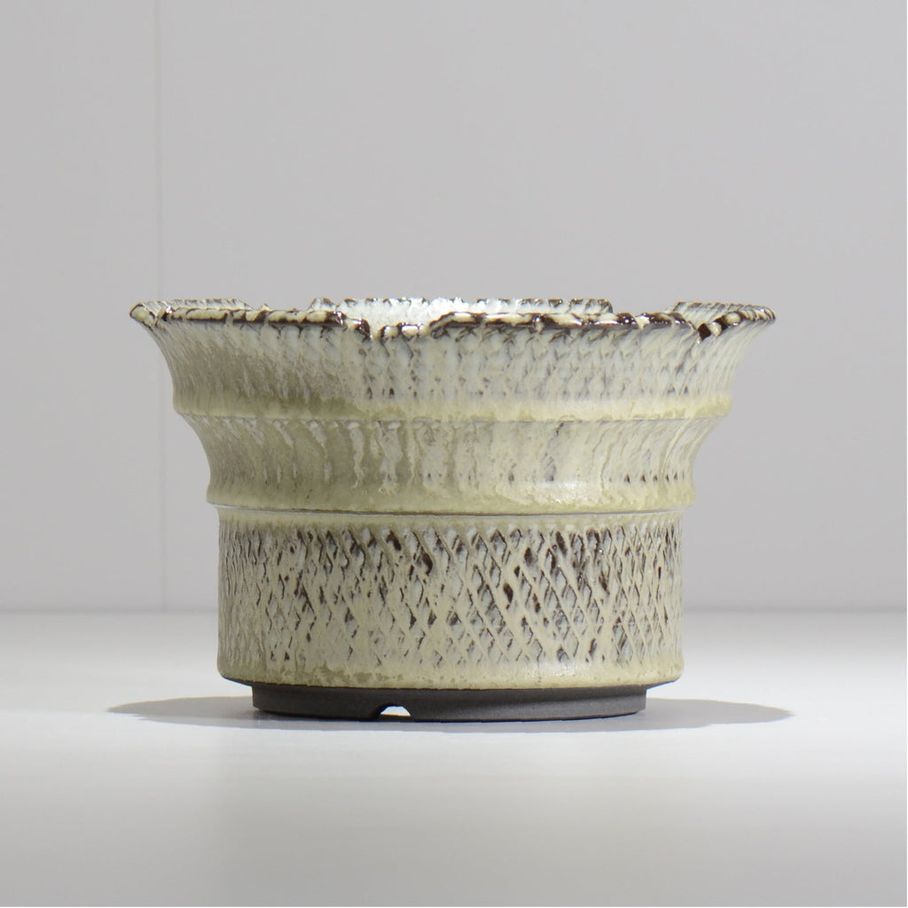 仲田唯希人 / SNAKE02 33/ 約φ18cm / 植木鉢