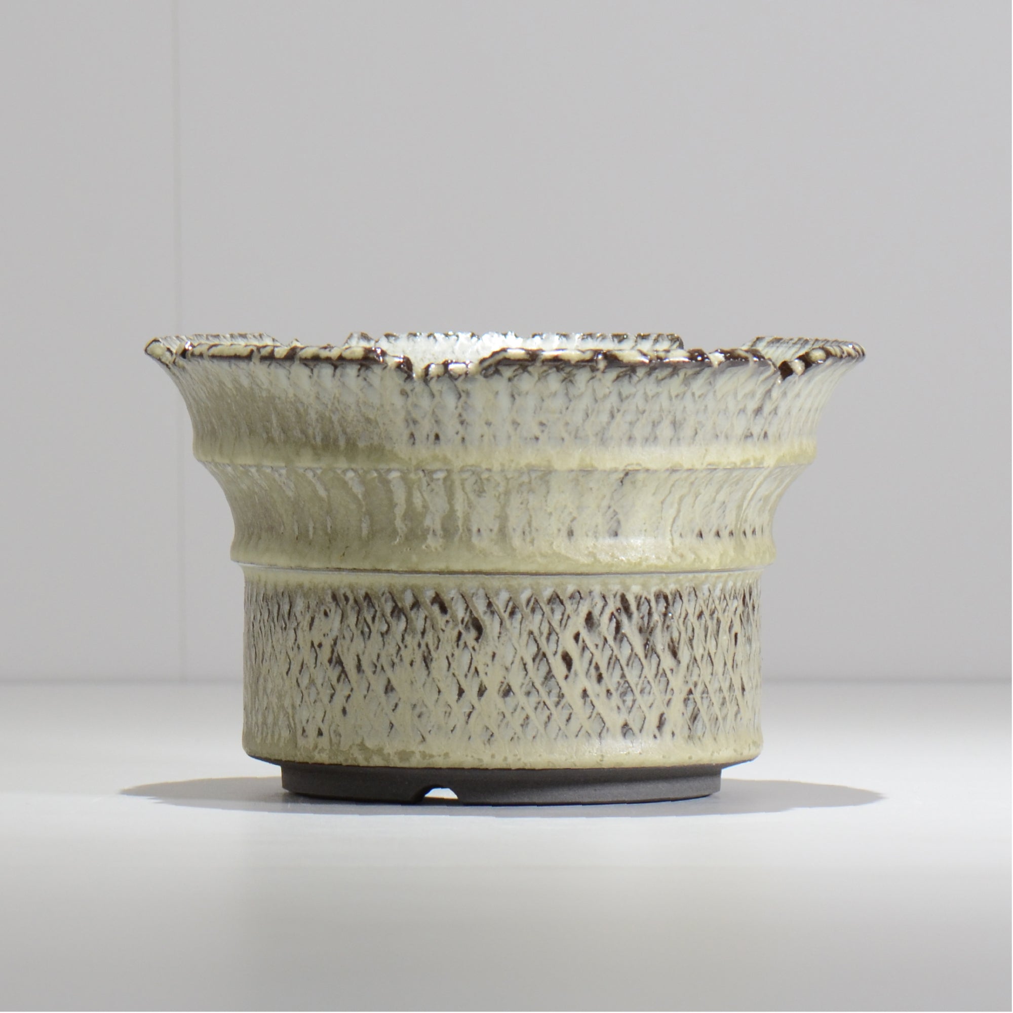 仲田唯希人 / SNAKE02 33/ 約φ18cm / 植木鉢