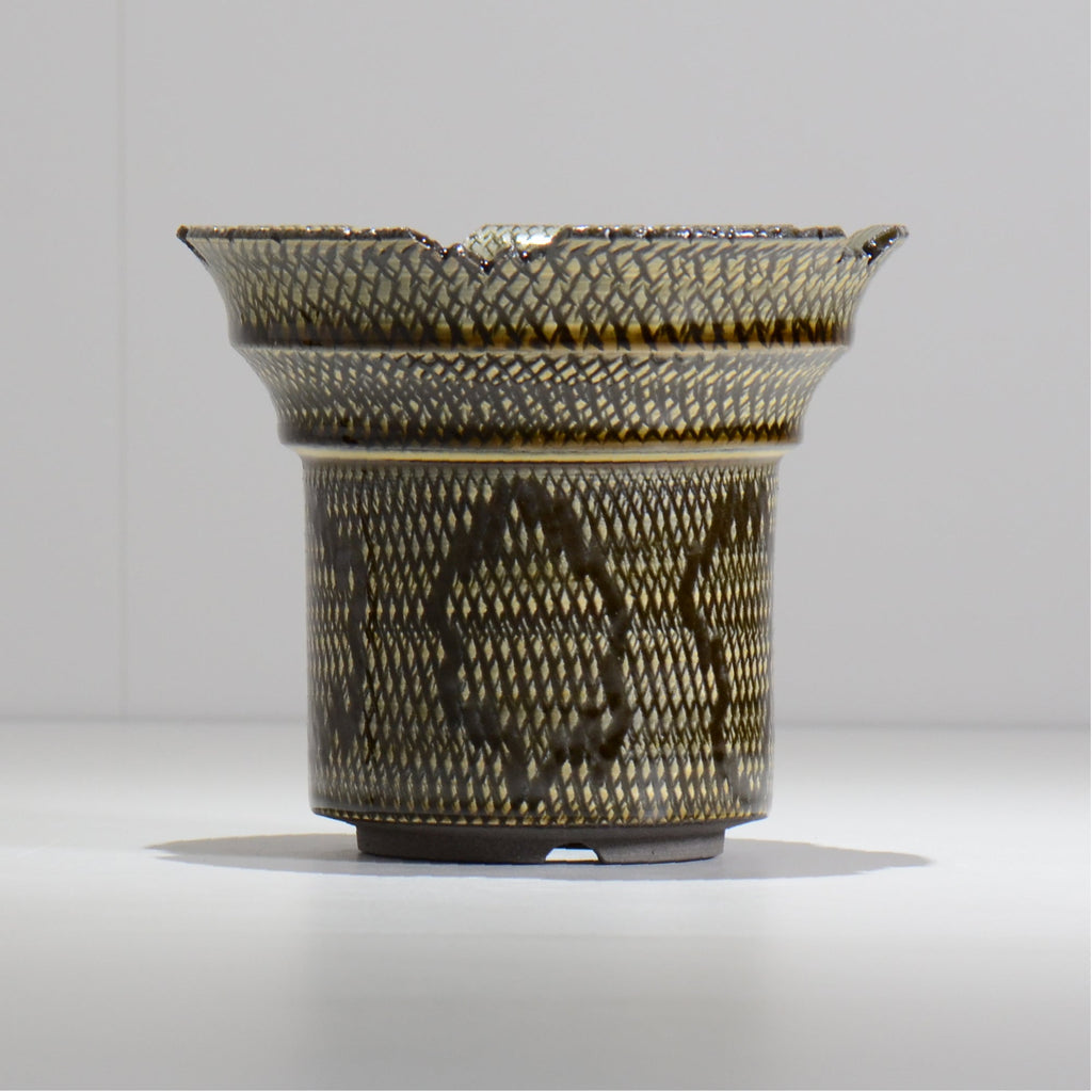 仲田唯希人 / SNAKE02 34/ 約φ16cm / 植木鉢