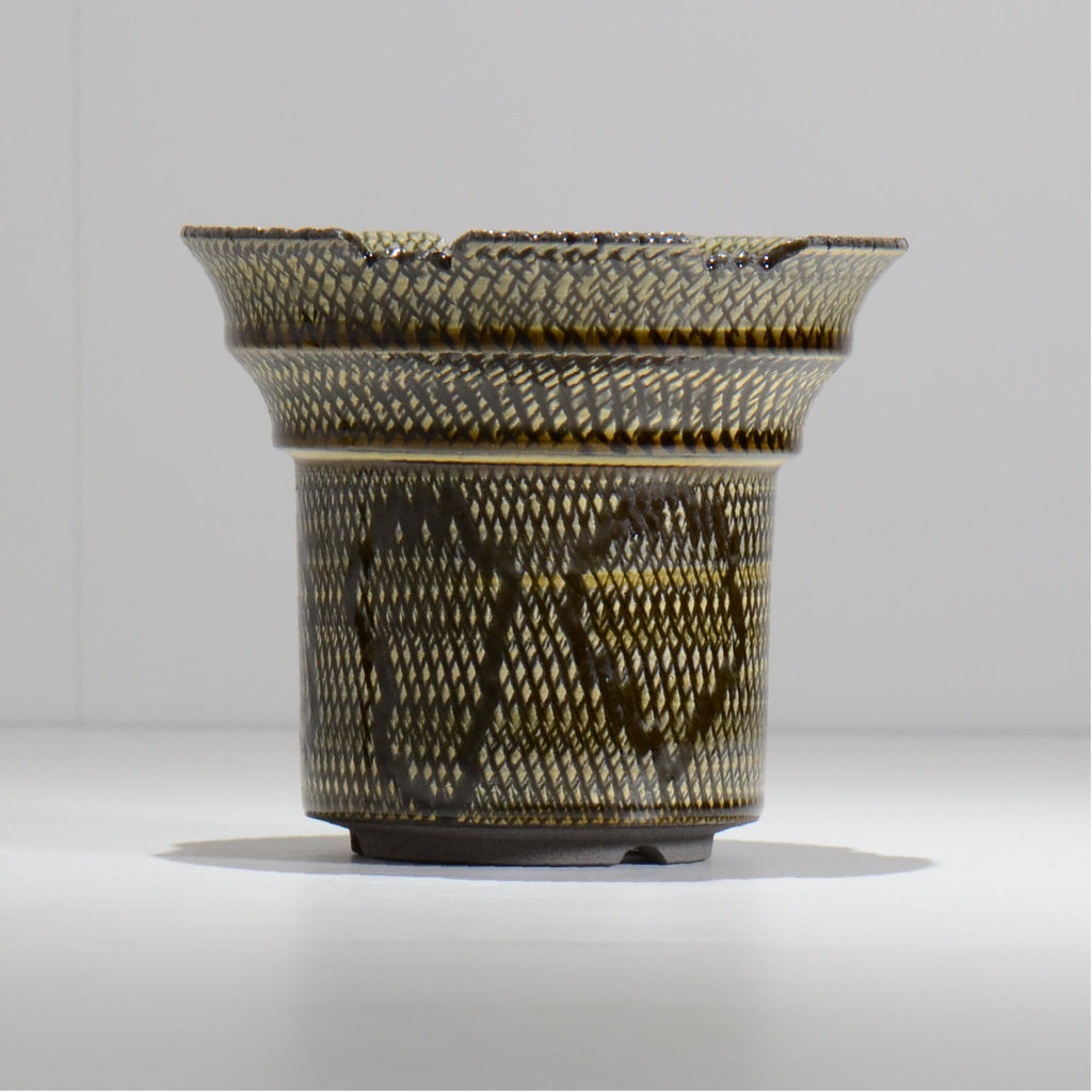仲田唯希人 / SNAKE02 34/ 約φ16cm / 植木鉢