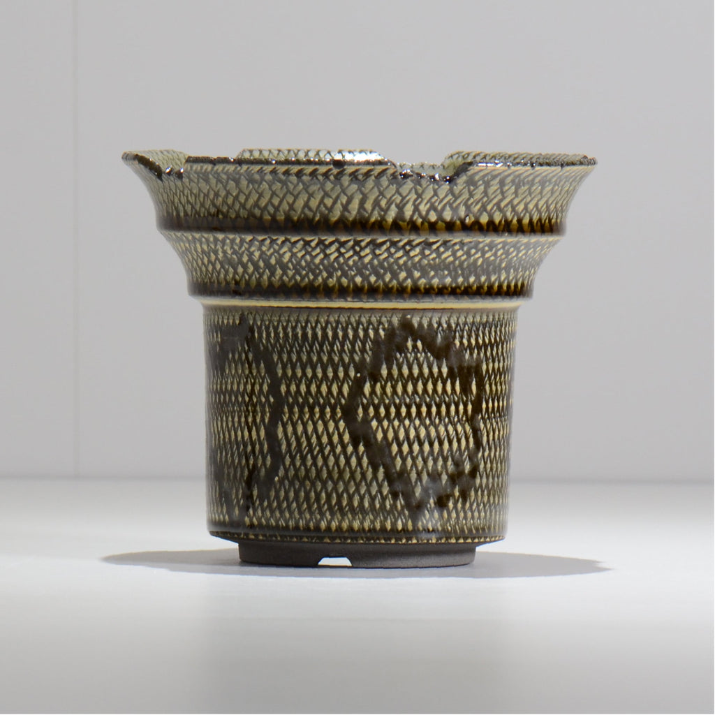 仲田唯希人 / SNAKE02 34/ 約φ16cm / 植木鉢