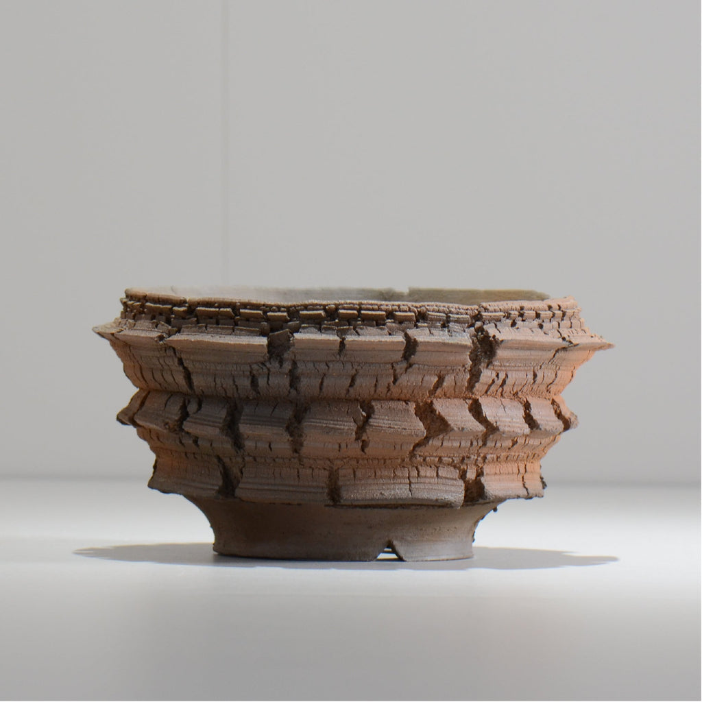 宮島將實 / TANNEN 159 / L / 約 φ15cm  / 植木鉢
