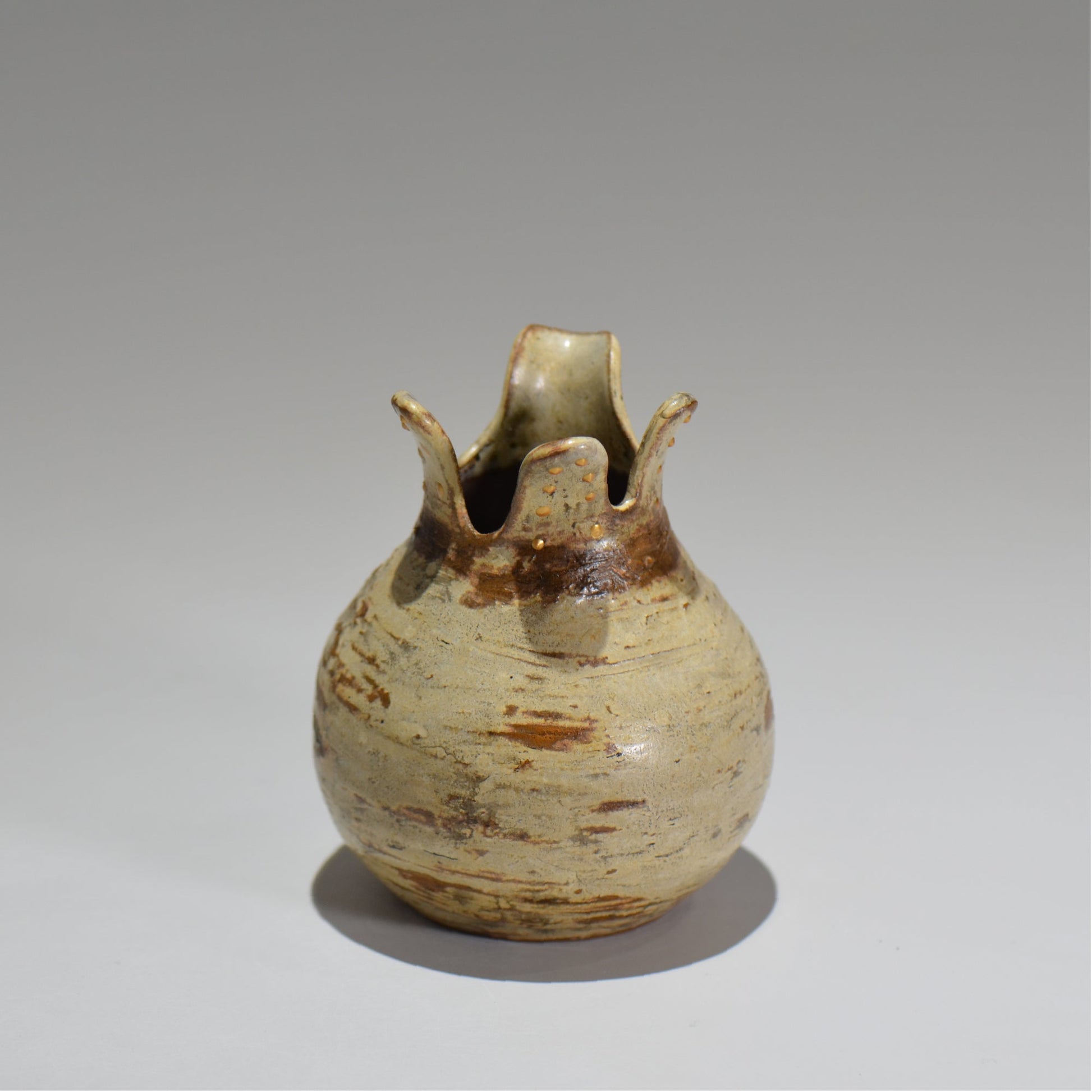 TERRACE COTTA /グラキリス片口セット/tc_01