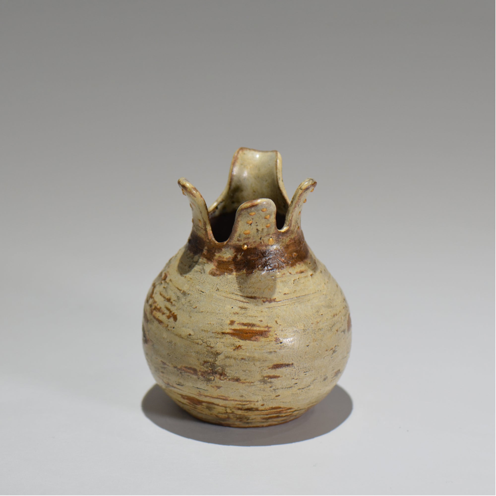 TERRACE COTTA /グラキリス片口セット/tc_01