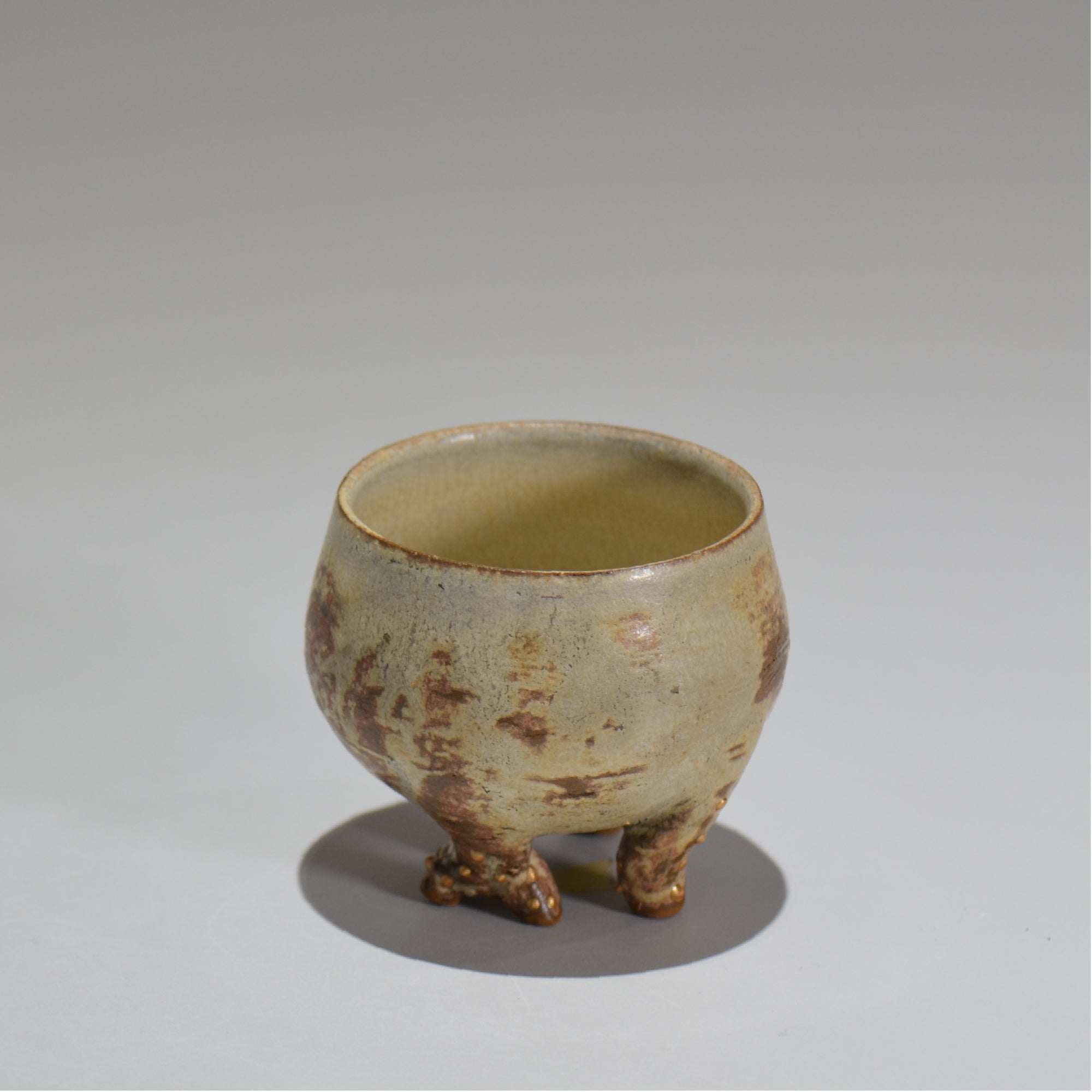 塊根植物・観葉植物の植木鉢専門店 「HACHILABO - ハチラボ- 」