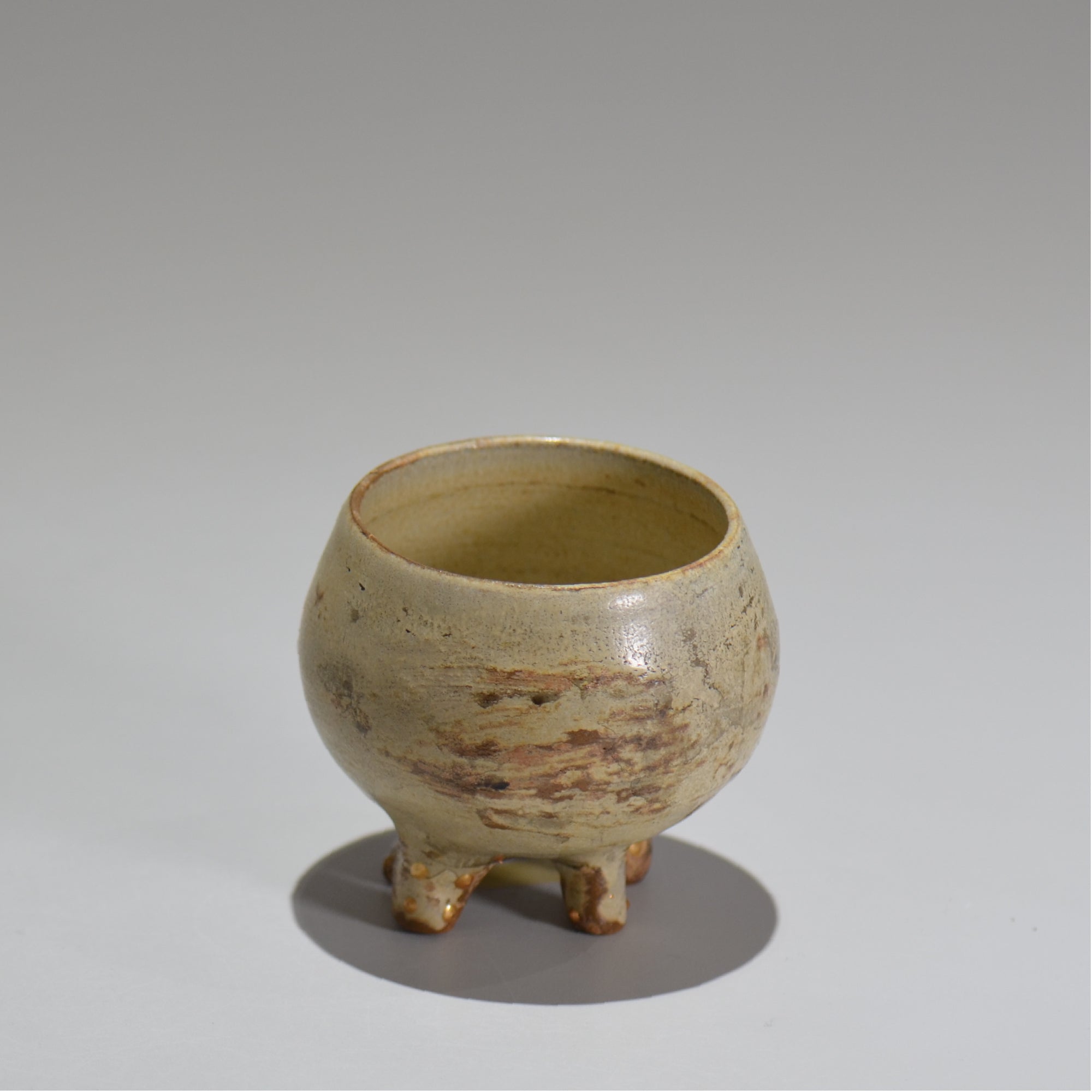 塊根植物・観葉植物の植木鉢専門店 「HACHILABO - ハチラボ- 」