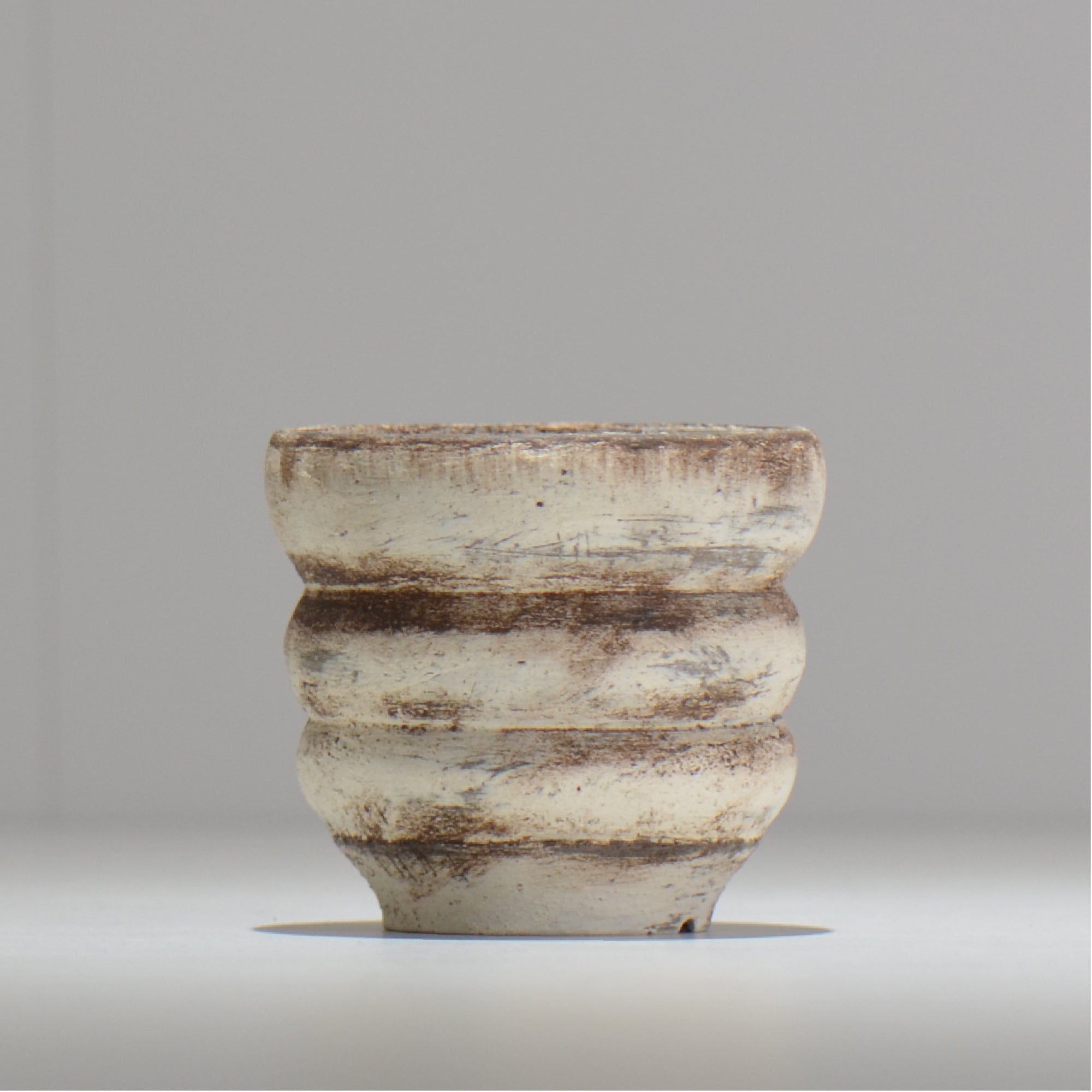 塊根植物・観葉植物の植木鉢専門店 「HACHILABO - ハチラボ- 」