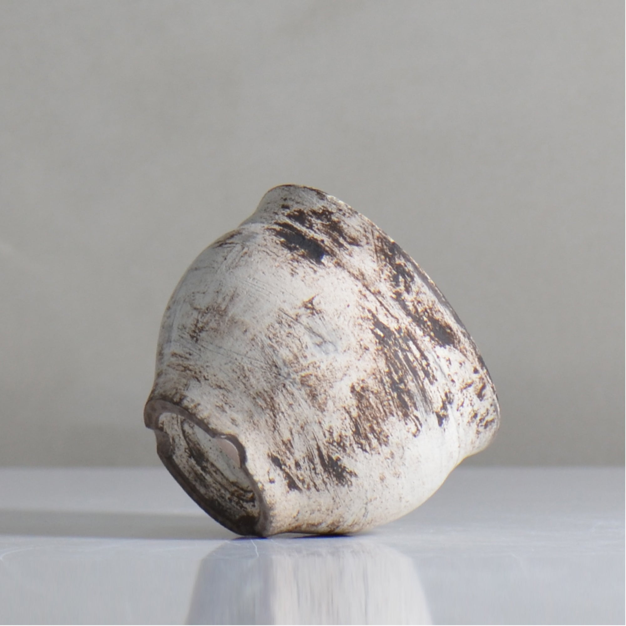 照鉢-terrace cotta- / ALIBON / tc6_al01_s / 約9cm / 植木鉢