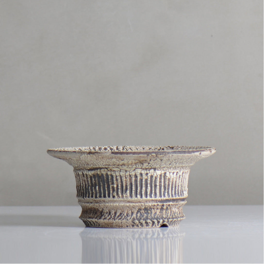 照鉢-terrace cotta- / ALIBON しのぎ飛びカンナ / tc6_al04_m / 約14.5cm  / 植木鉢