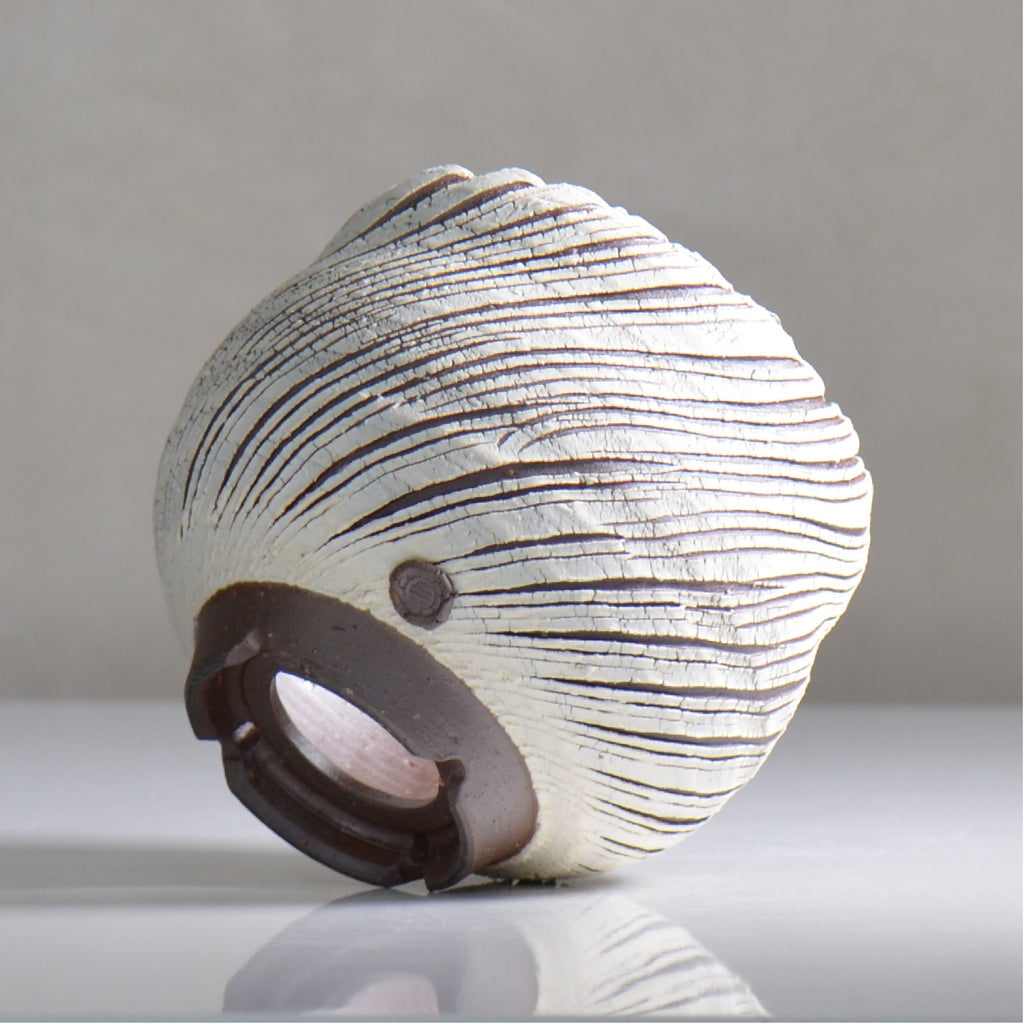 陶房Kibi / シュレッド/ tk2_sd09_m  / 約 φ12.5cm / 植木鉢