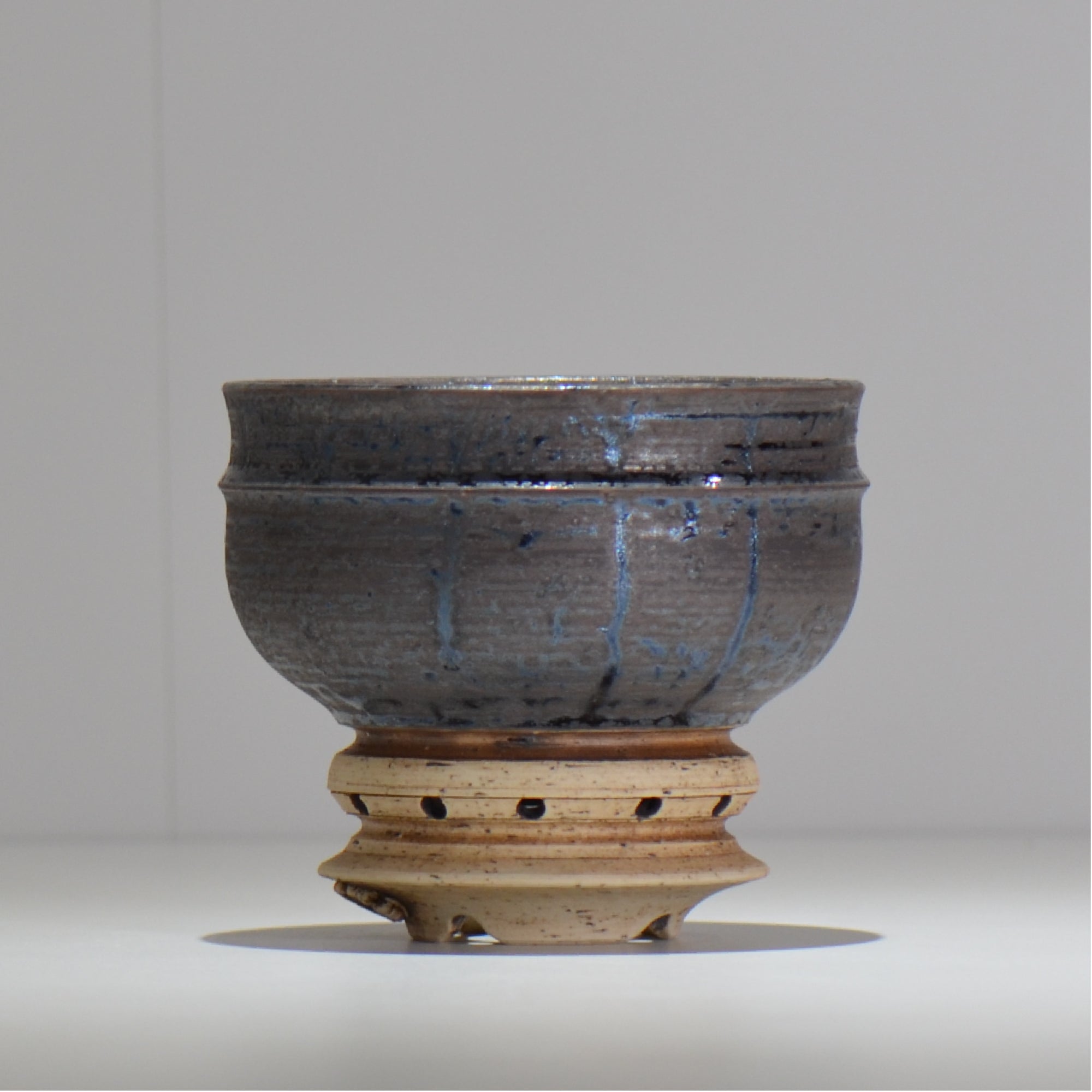 塊根植物・観葉植物の植木鉢専門店 「HACHILABO - ハチラボ- 」