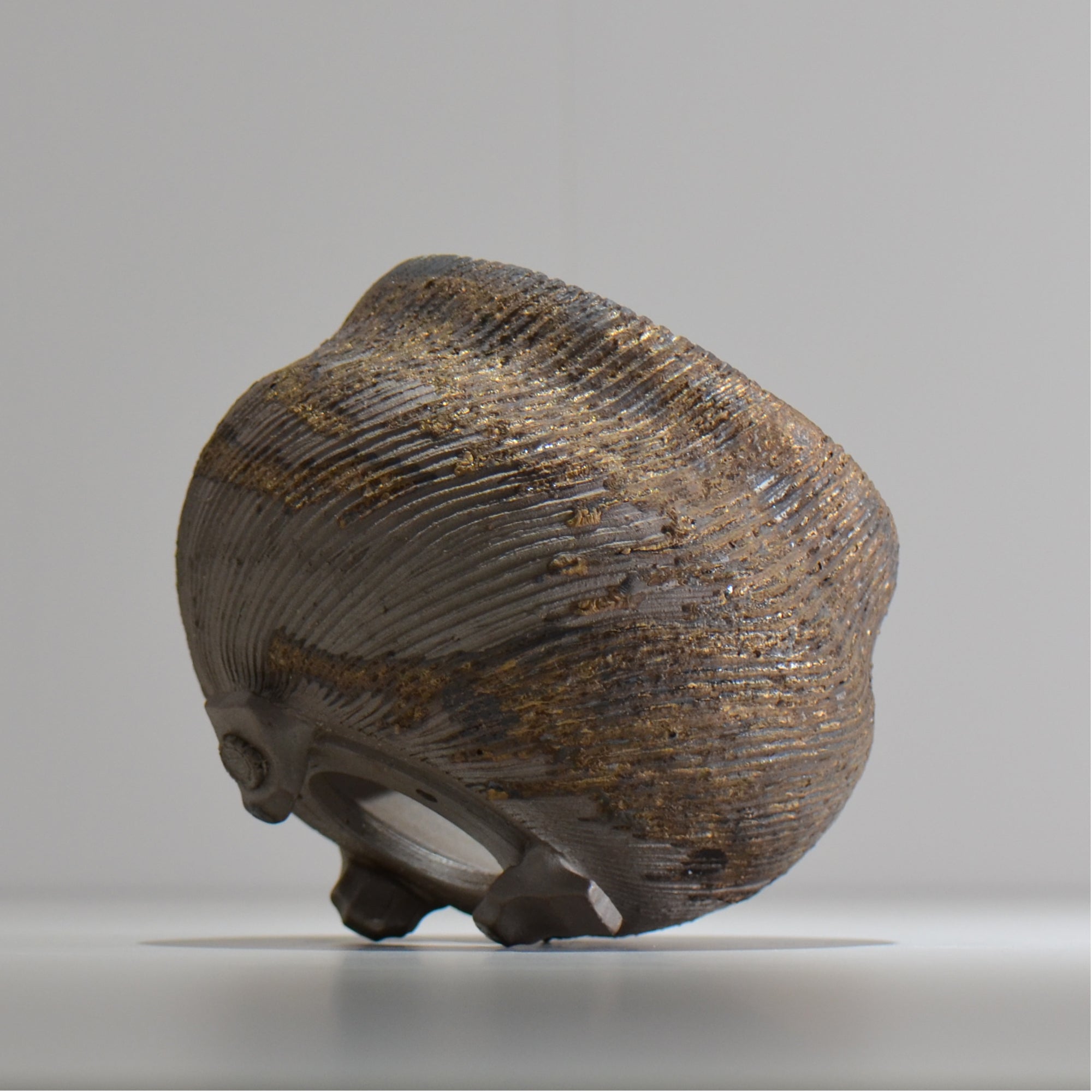 陶房Kibi / 金泥 / tkki_10_m  / 約 φ13cm / 植木鉢