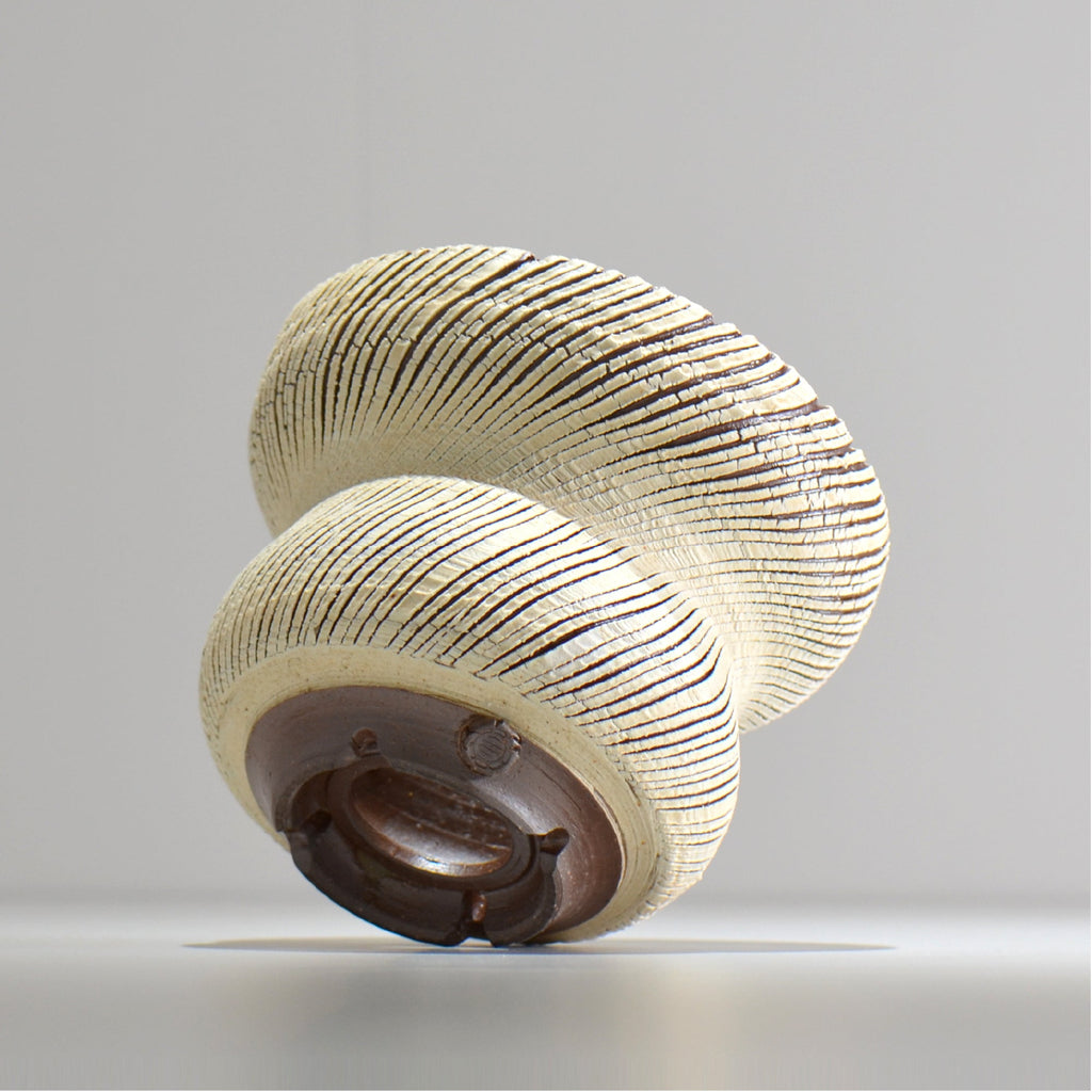 陶房Kibi / シュレッド/tksh_16_m  / 約 φ15cm / 植木鉢