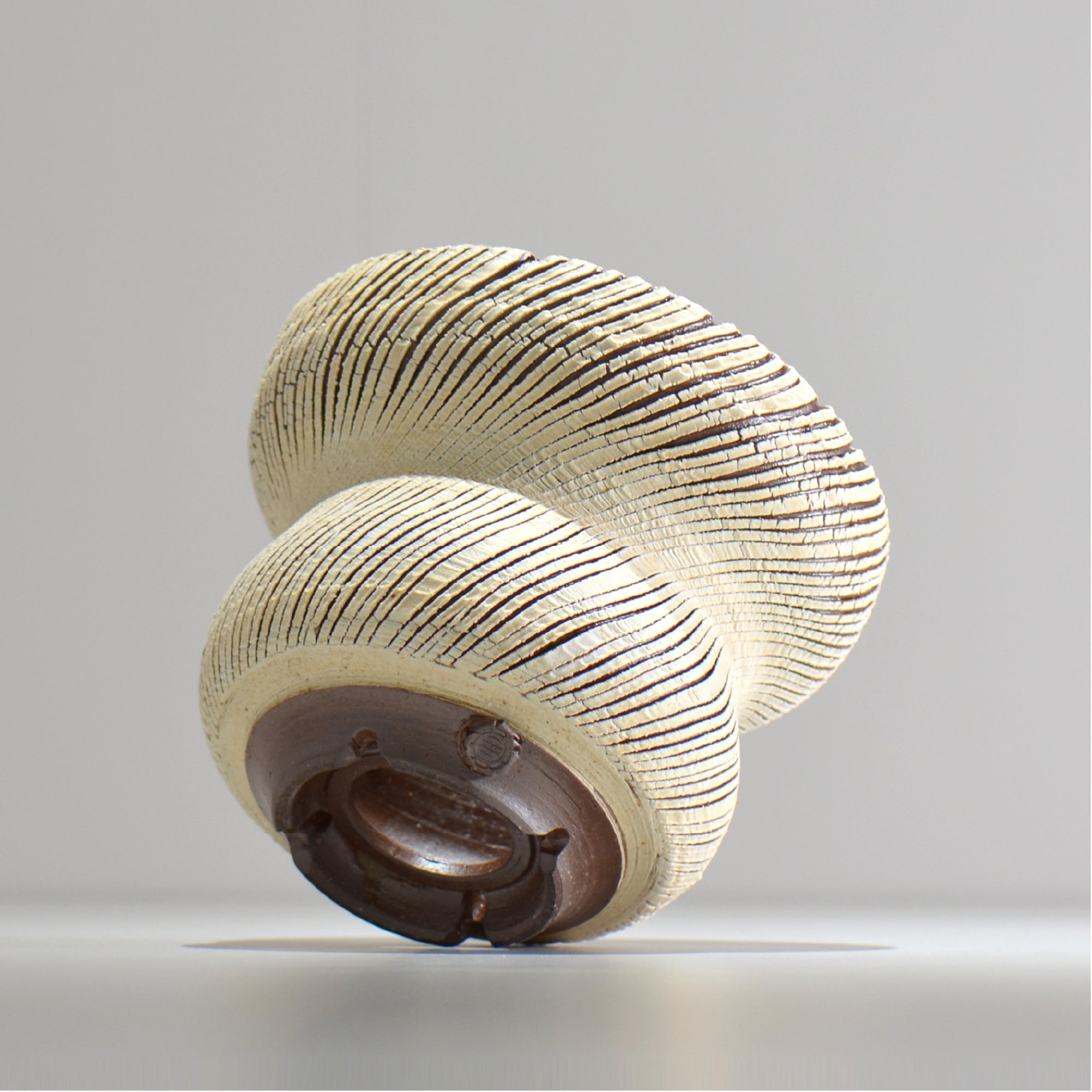 陶房Kibi / シュレッド/tksh_16_m  / 約 φ15cm / 植木鉢