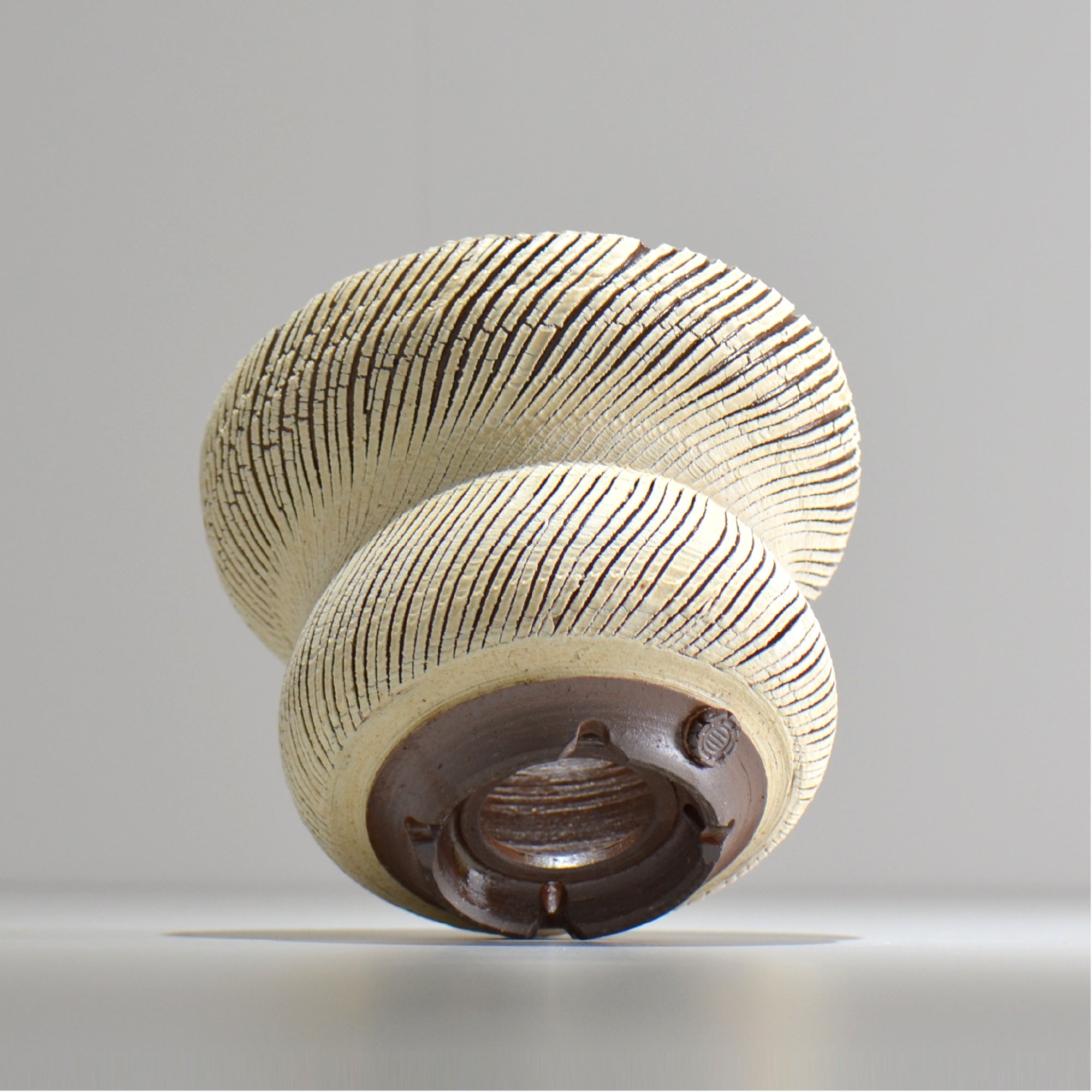 陶房Kibi / シュレッド/tksh_16_m  / 約 φ15cm / 植木鉢